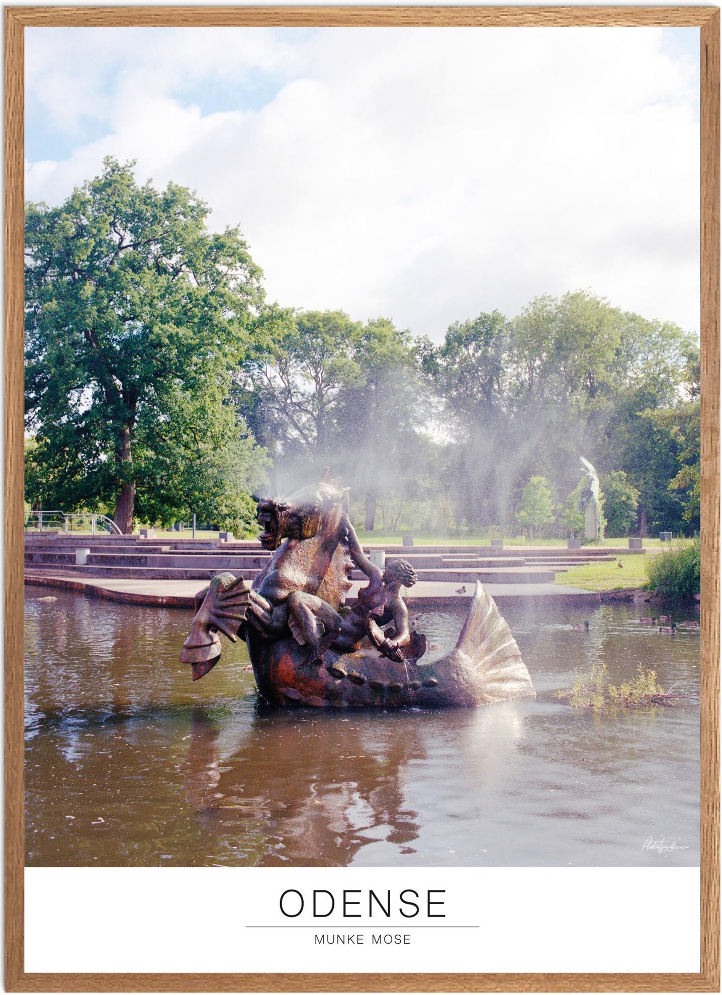 Plakat af Munke Mose | Naturplakat til dit hjem