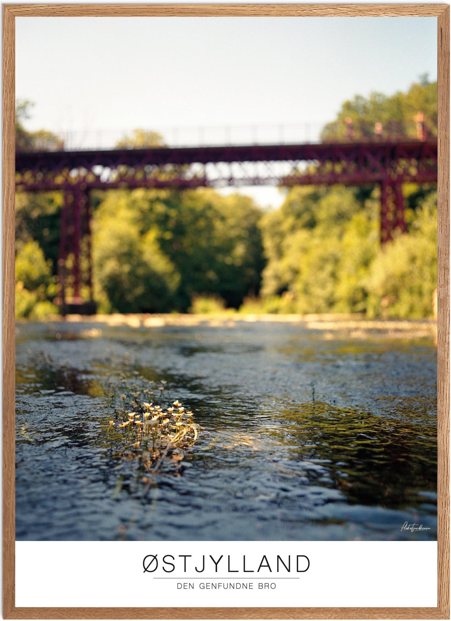 Plakat af Den Genfundne Bro | Naturplakat til hjemmet