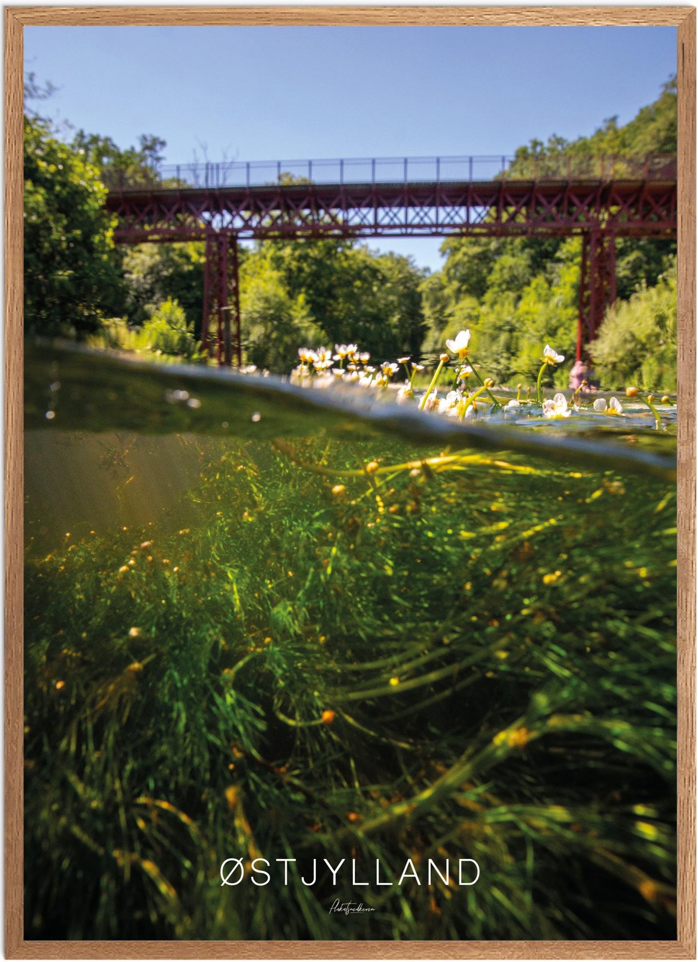 Plakat af Østjylland | Naturplakat til væggen