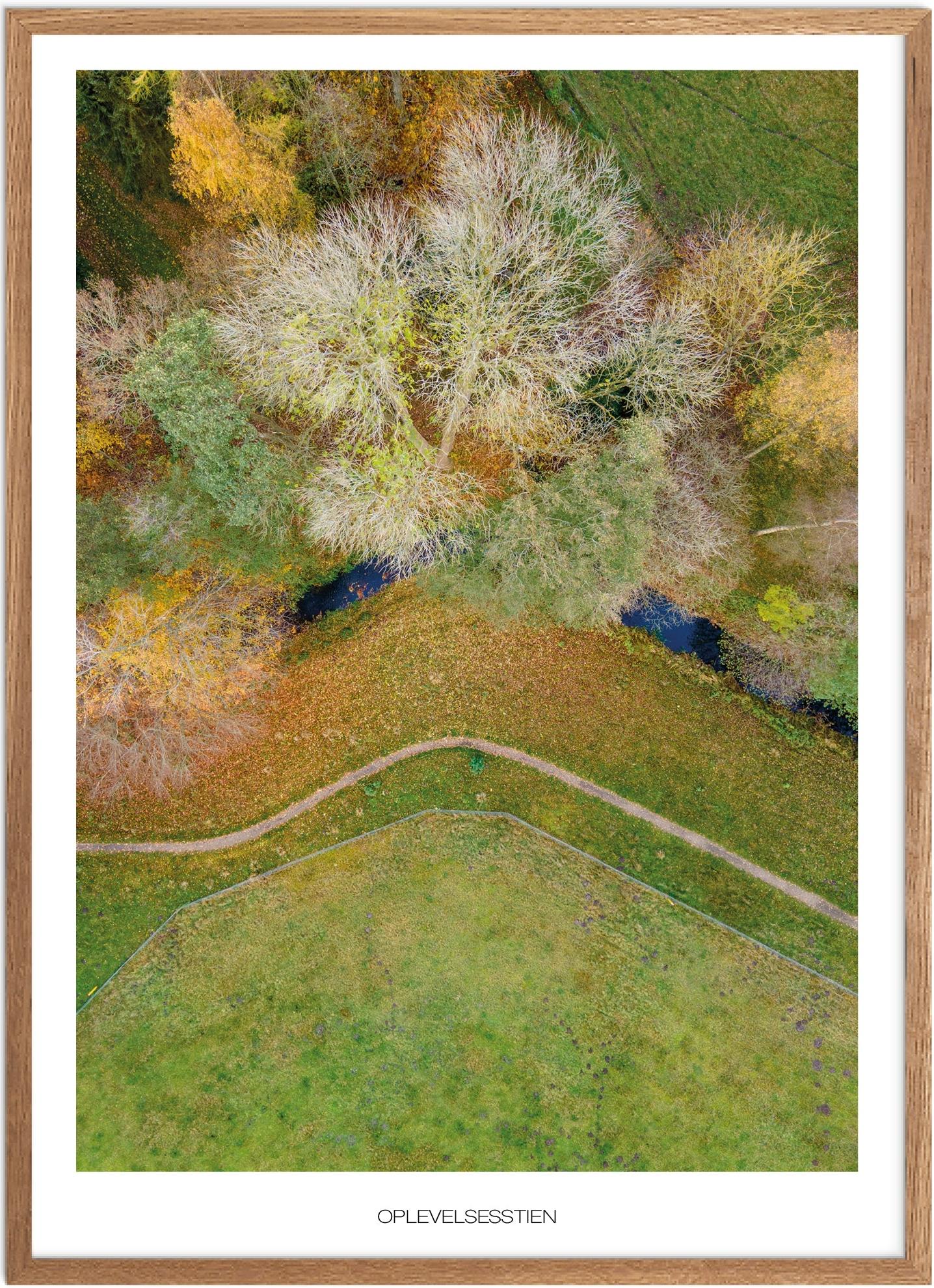 Oplevelsesstien Plakat | Naturskønne Oplevelser i Ringsted