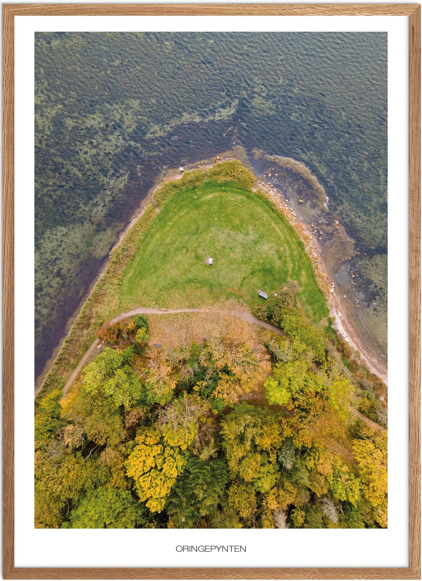 Plakat af Oringepynten - Naturplakat til hjemmet