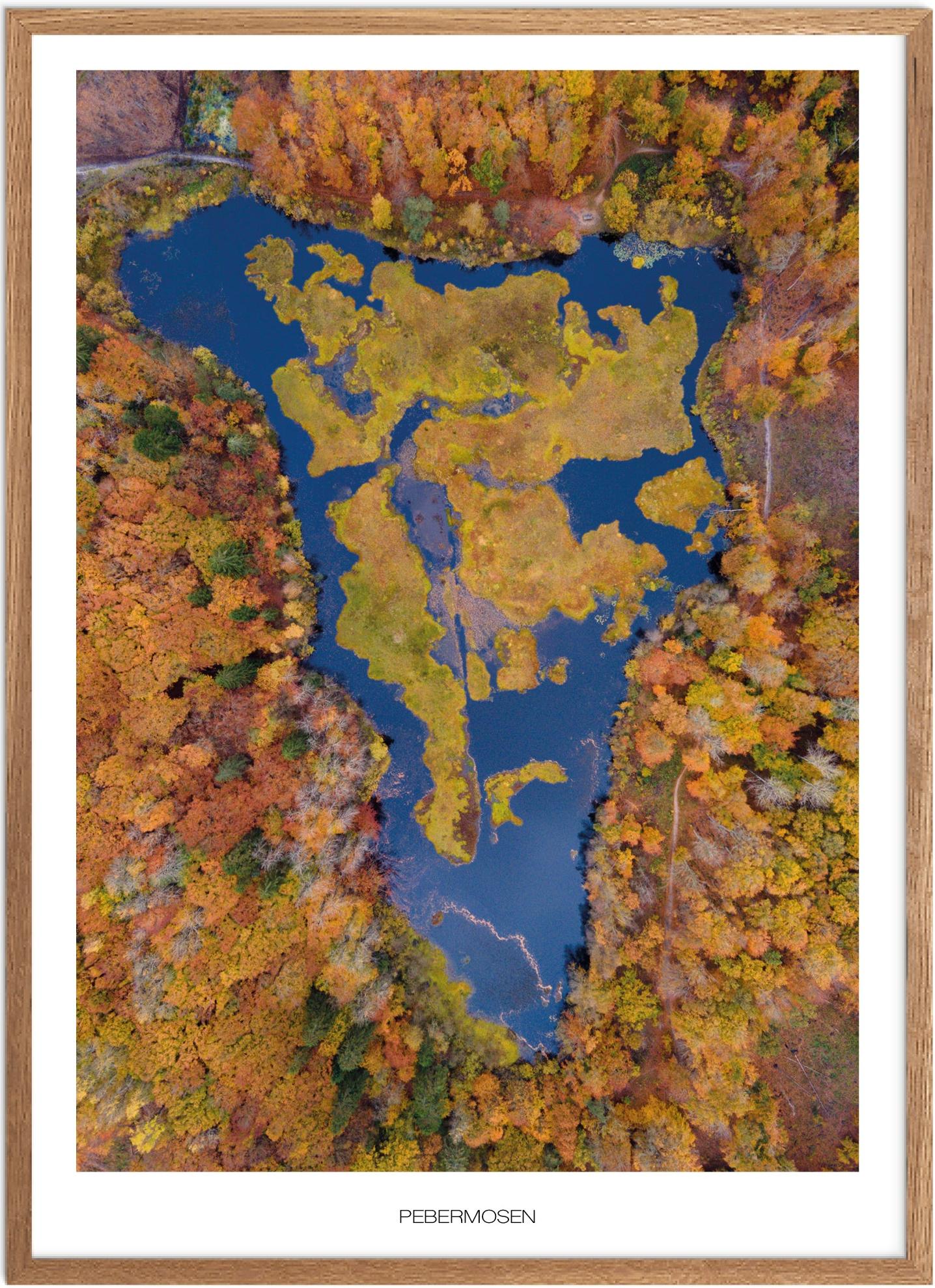 Plakat af Pebermosen | Naturplakat fra Nordjylland