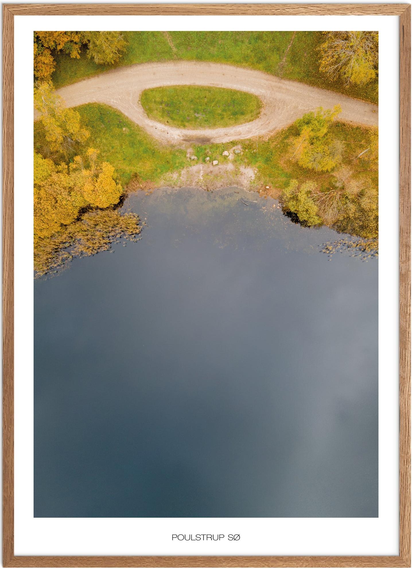 Dall Hede Naturplakat - Smuk Plakat fra Nordjylland
