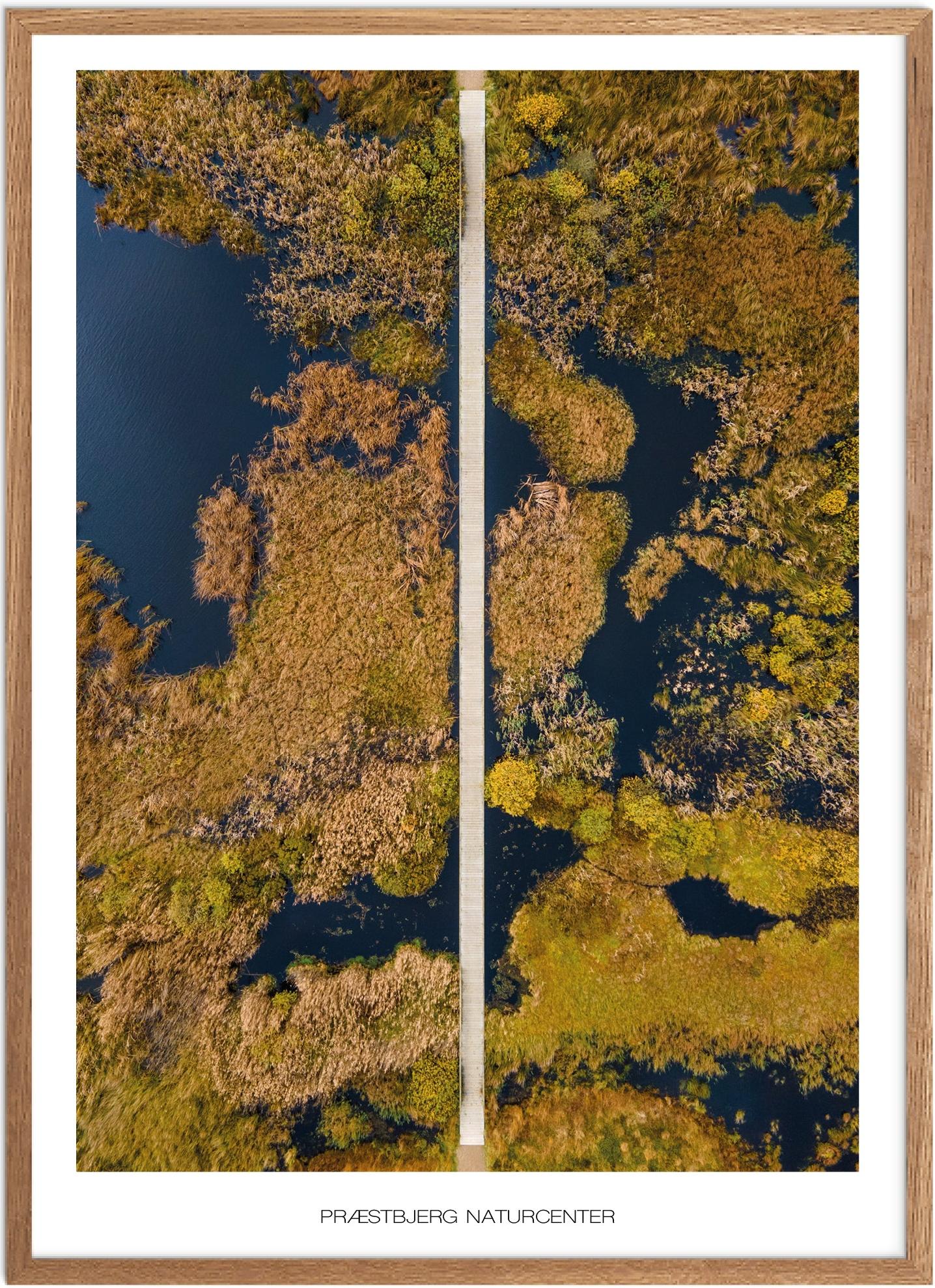 Præstbjerg Naturcenter Plakat | Unik Naturplakat i Vestjylland