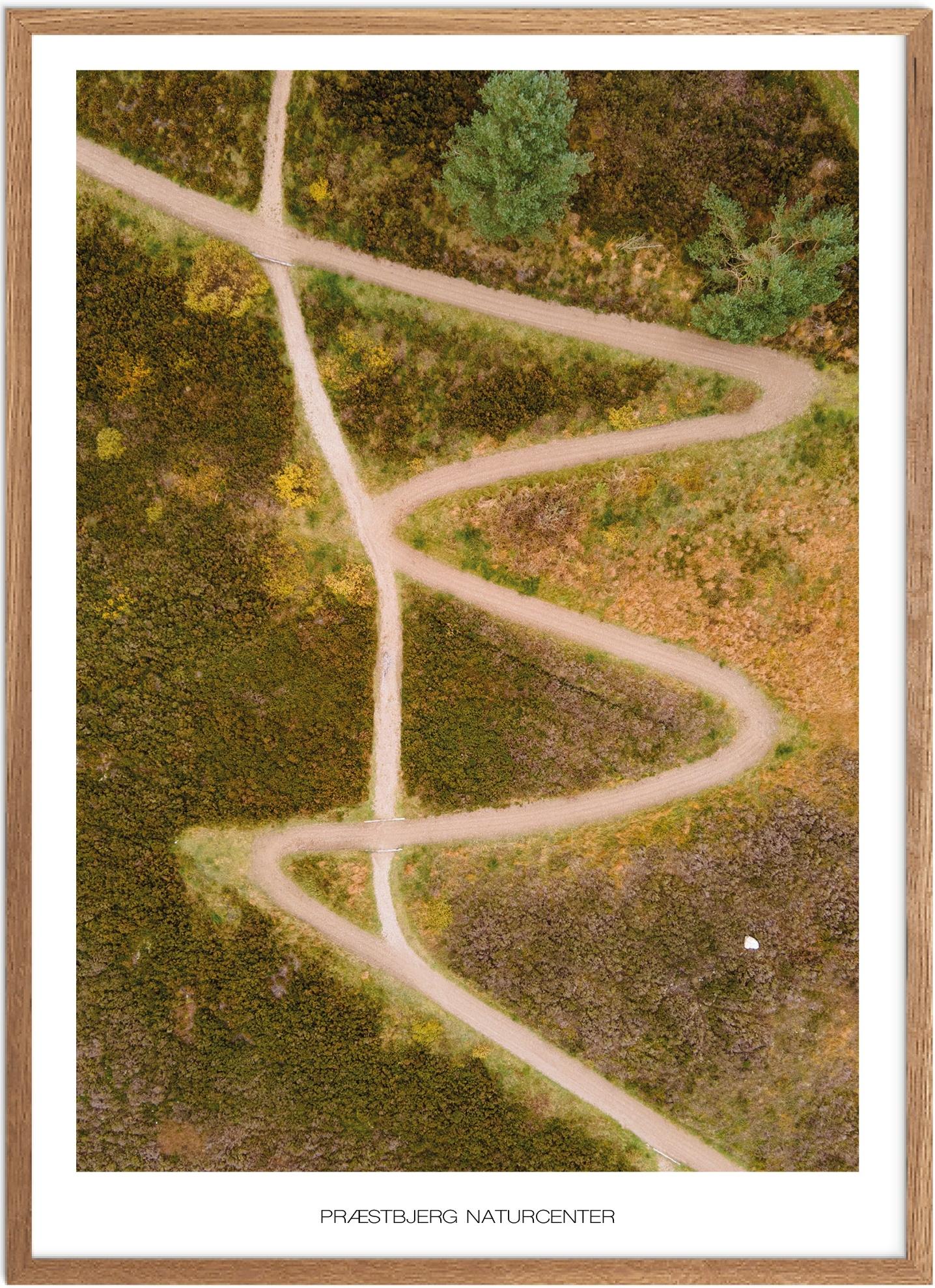 Præstbjerg Naturcenter Plakat - Oplev Vestjyllands Natur