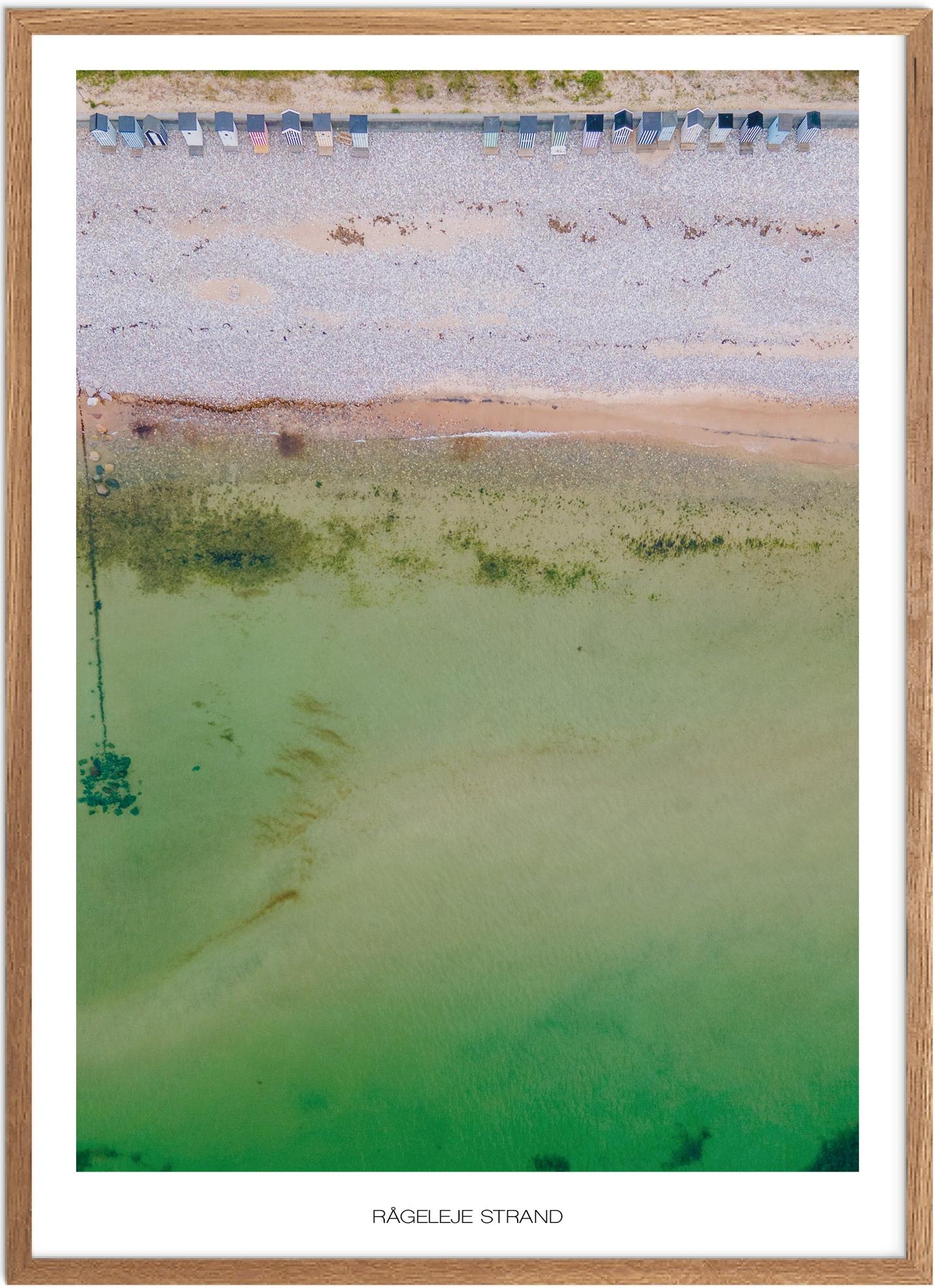 Rågeleje Naturplakat - Smuk Plakat fra Nordsjælland