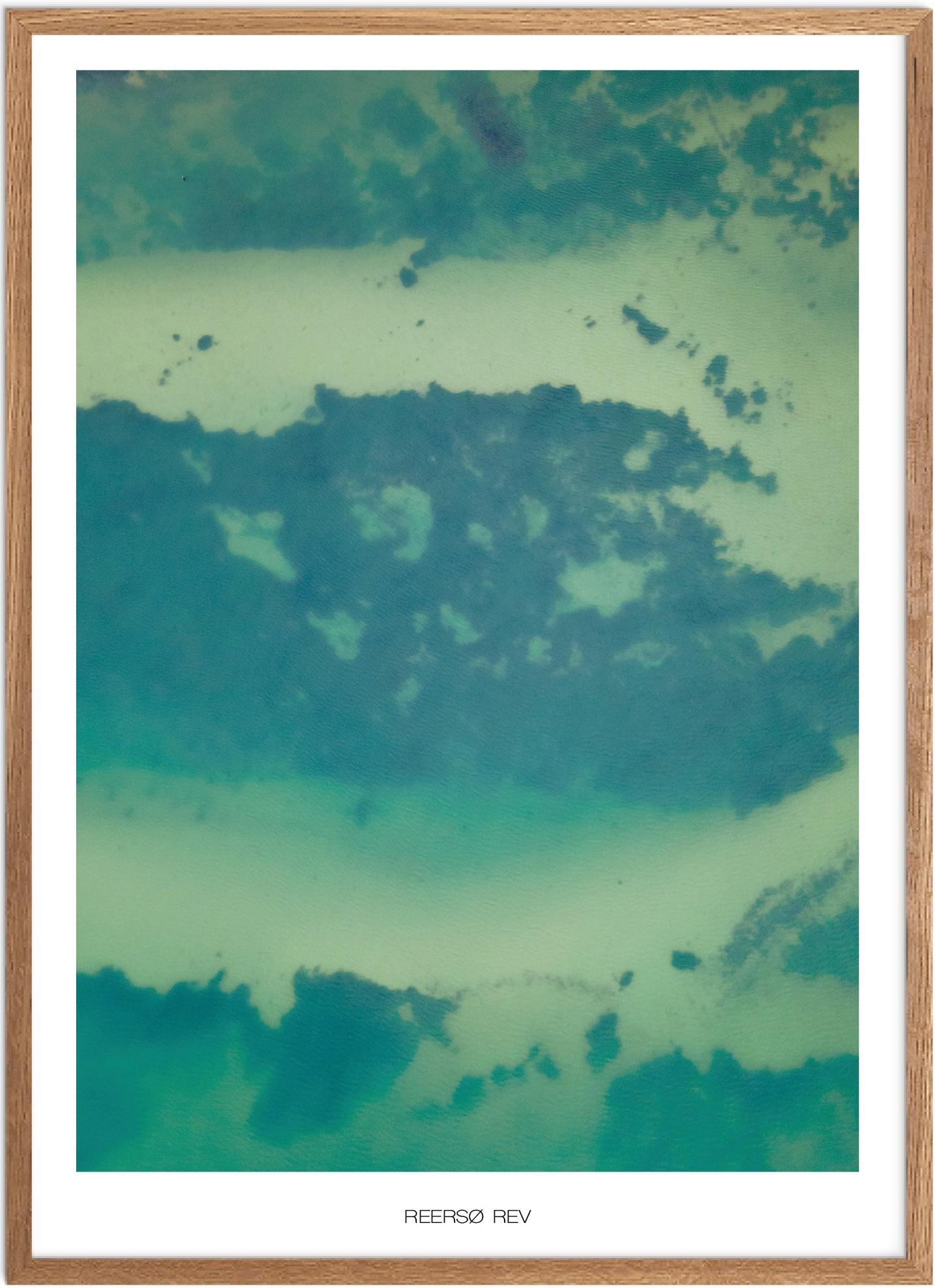 Plakat af Reersø Rev | Naturplakat fra Vestsjælland