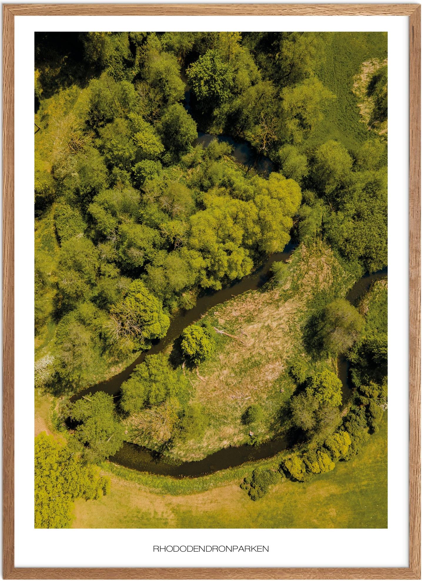 Rhododendronparken Plakat | Naturplakat fra Plakatsnedkeren