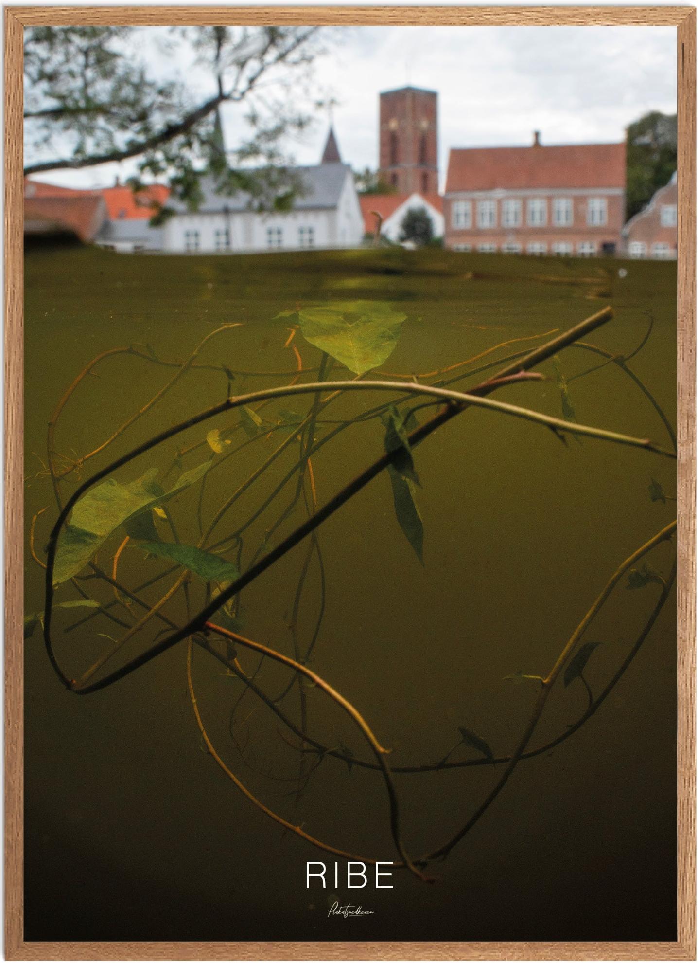 Plakat af Ribe - Naturplakat med historisk charme