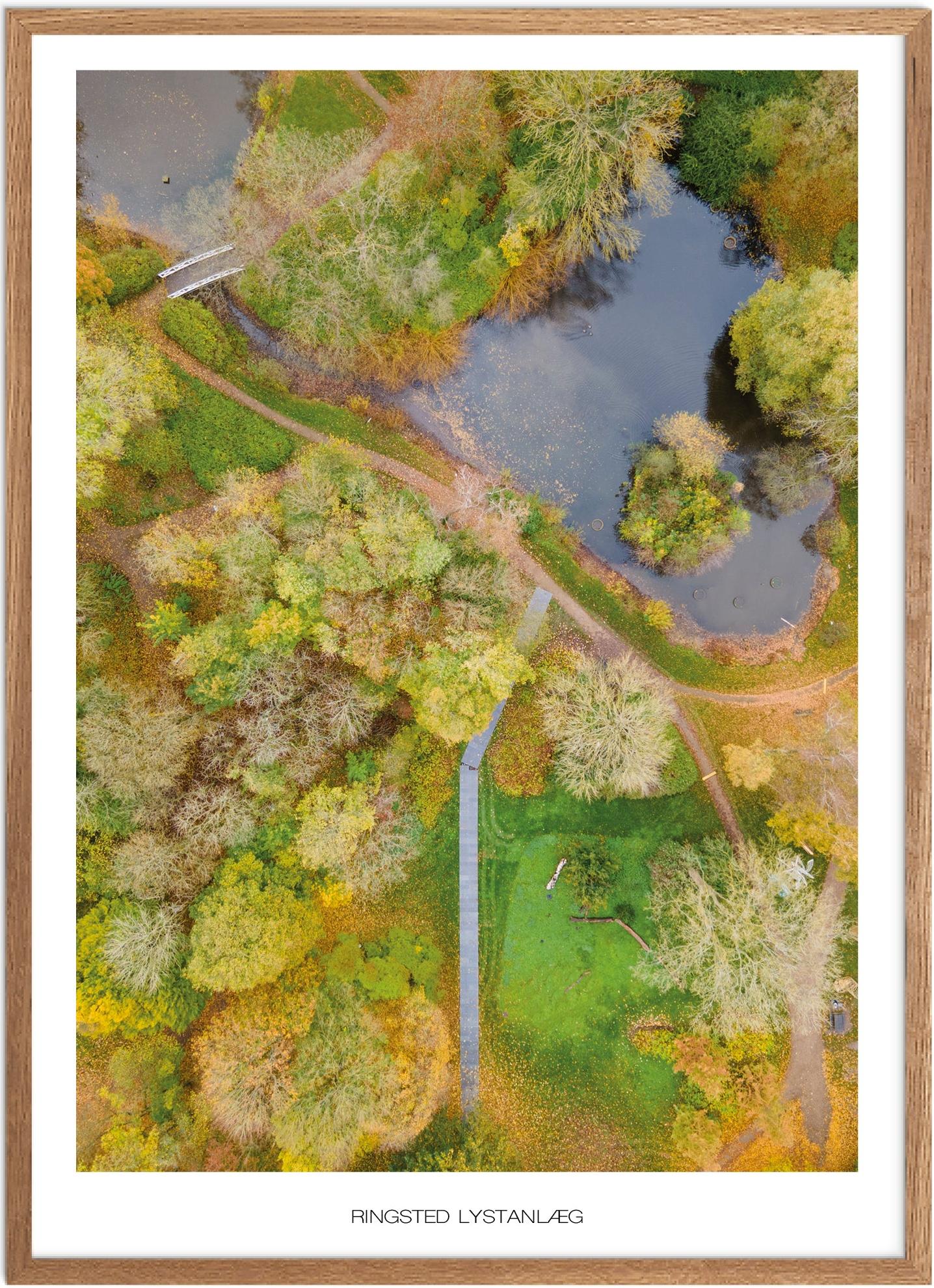 Plakat af Ringsted Lystanlæg | Smuk Naturplakat