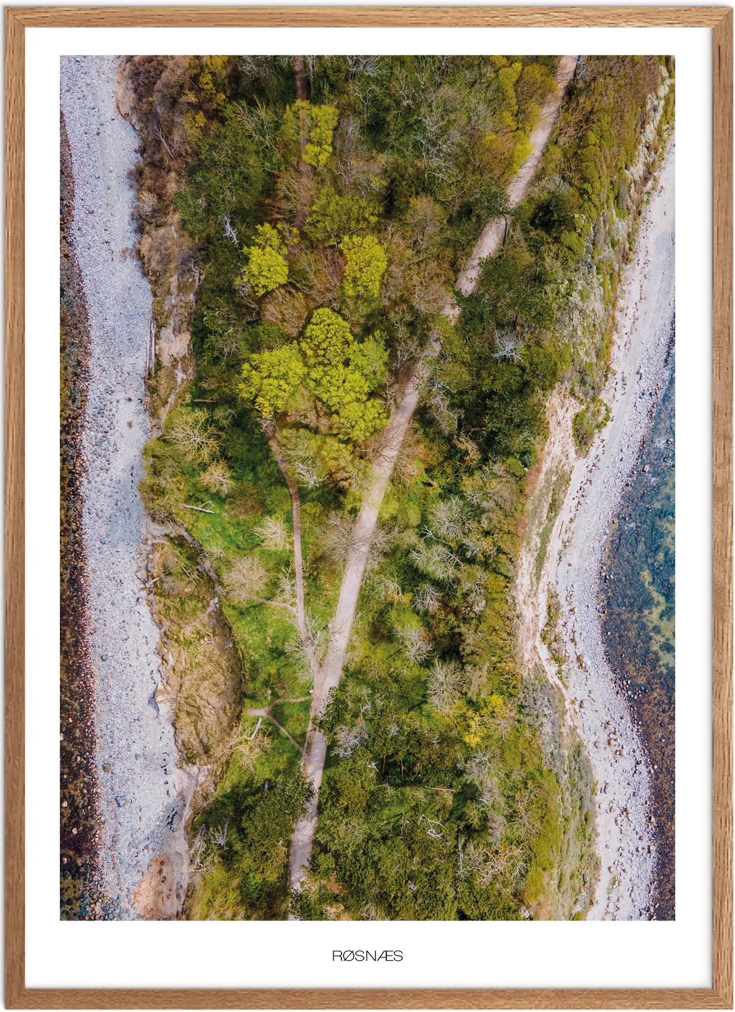 Røsnæs Naturplakat - Vestsjælland Plakat fra Plakatsnedkeren