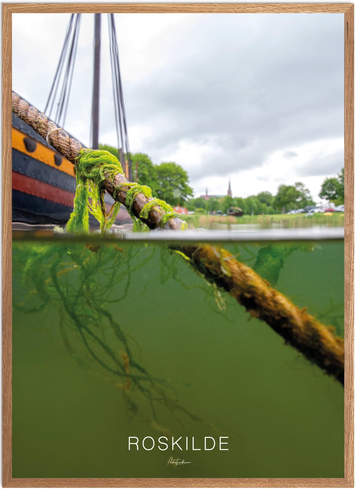 Roskilde Naturplakat | Skøn plakat fra Plakatsnedkeren