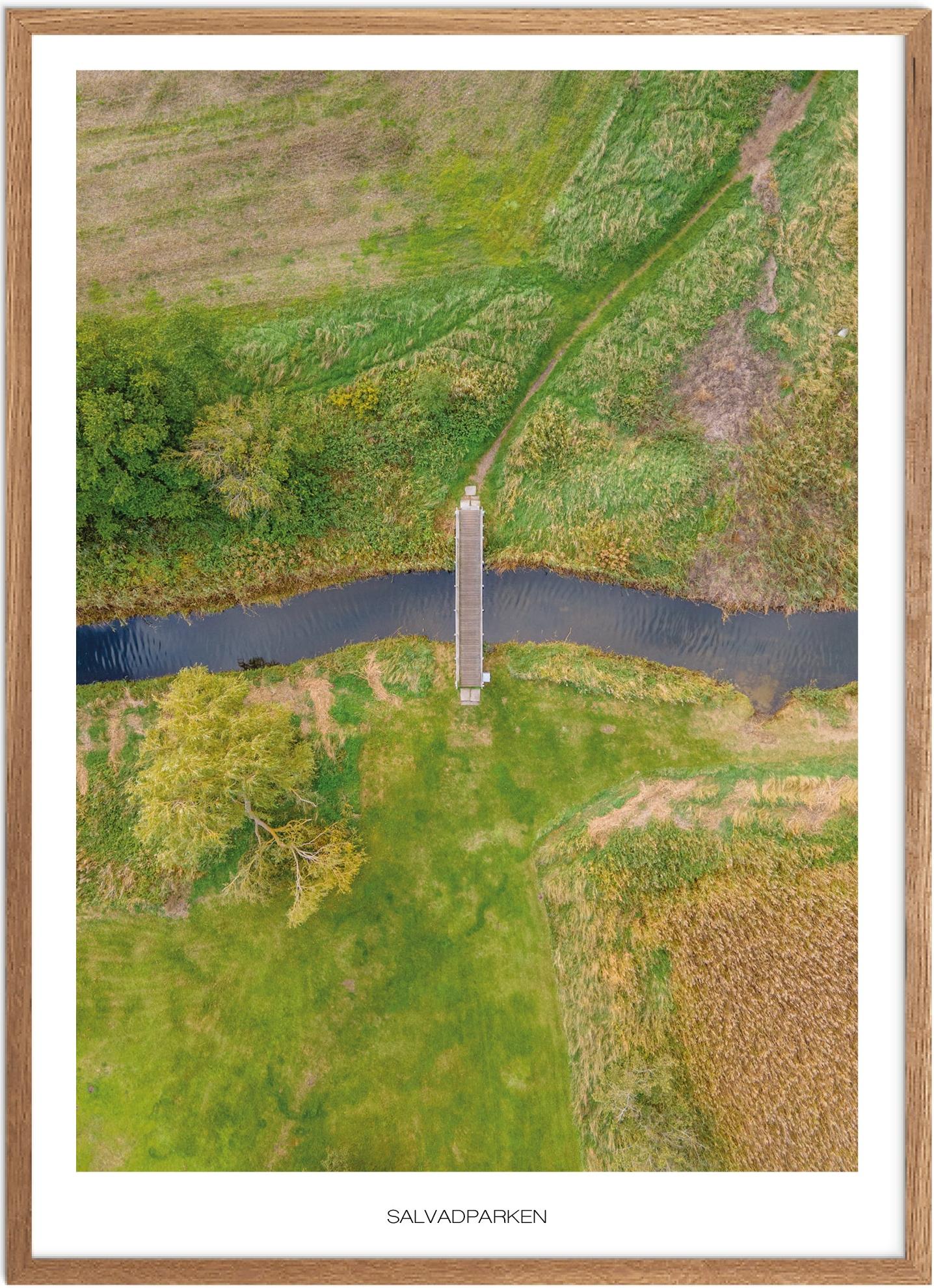 Plakat af Salvadparken | Naturplakat til dit hjem