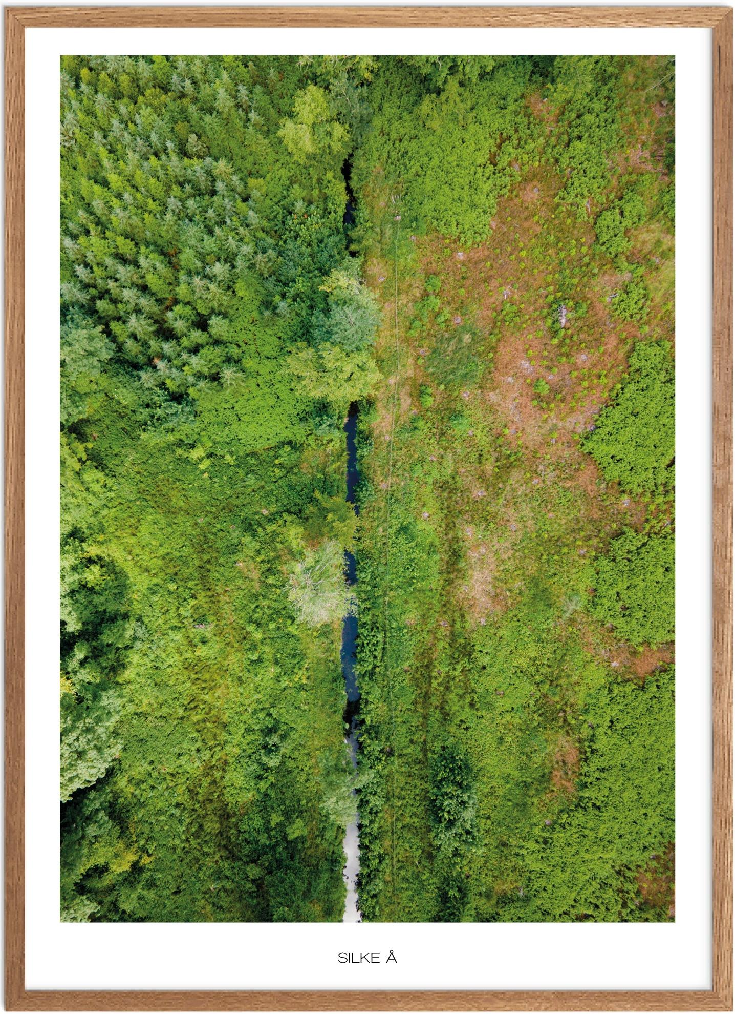 Silke Å Plakat | Naturplakat fra Fyn | Plakatsnedkeren