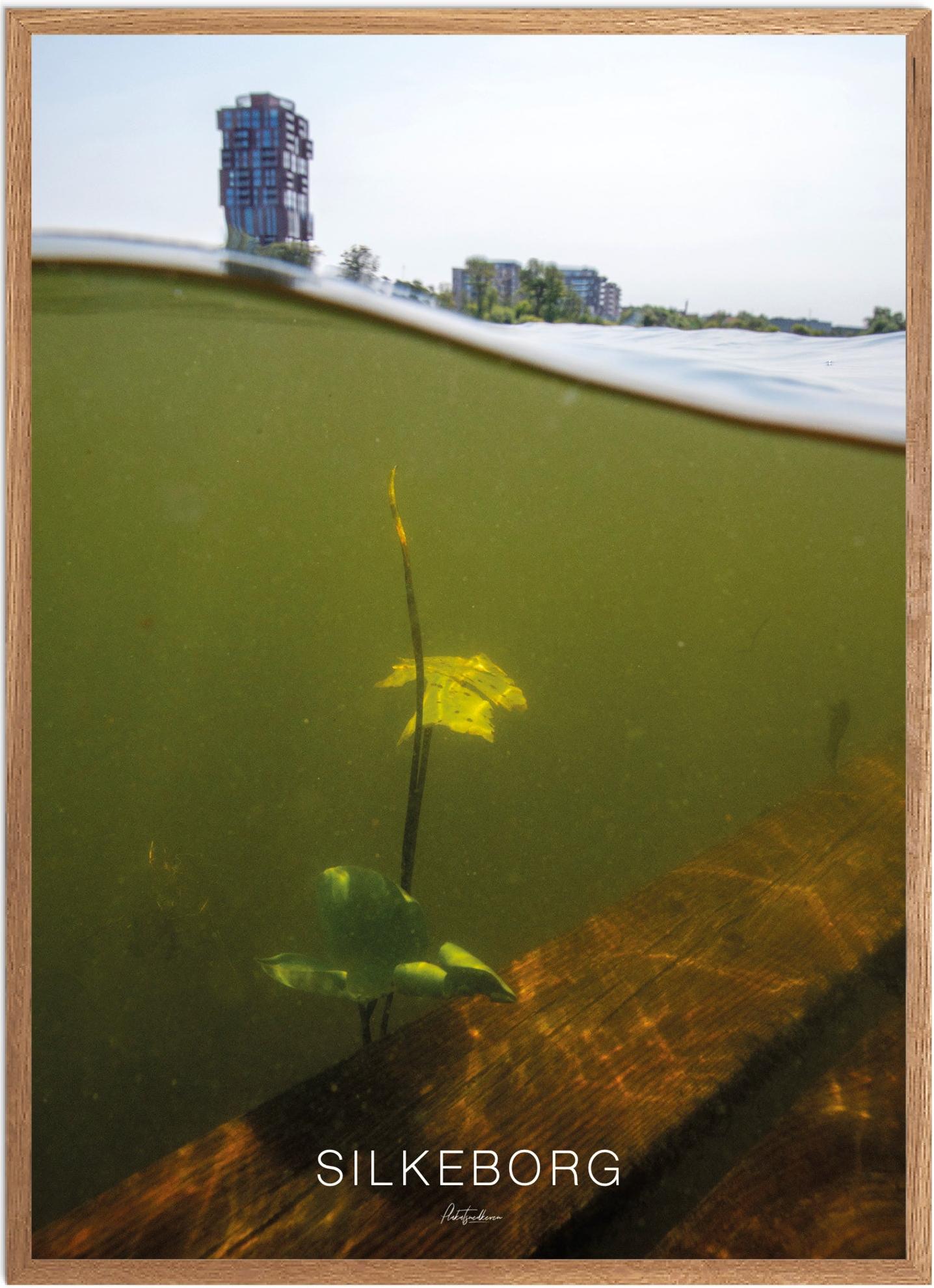 Silkeborg Naturplakat | Smuk Plakat fra Plakatsnedkeren