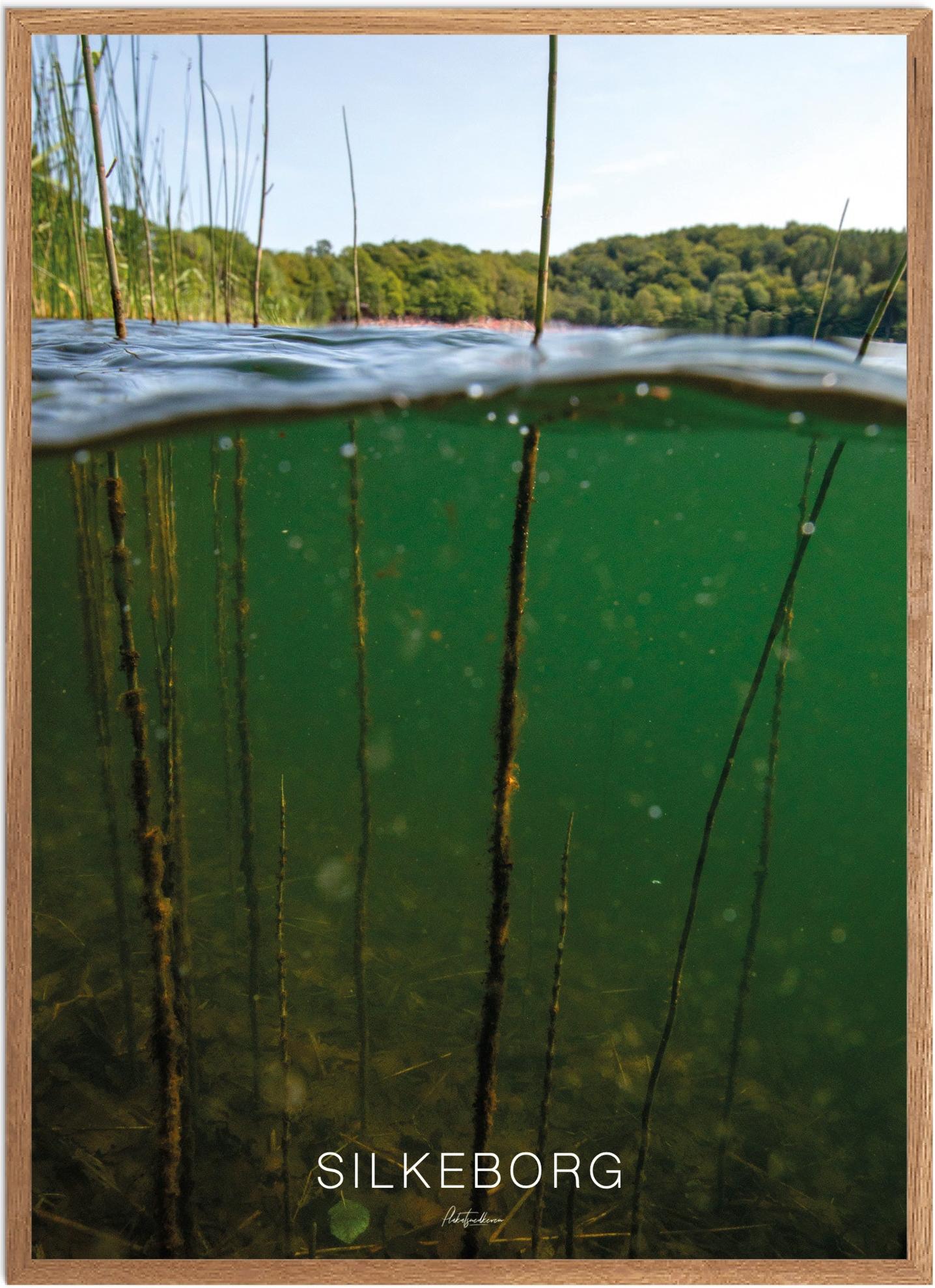 Silkeborg Naturplakat | Smuk Plakat til Dit Hjem