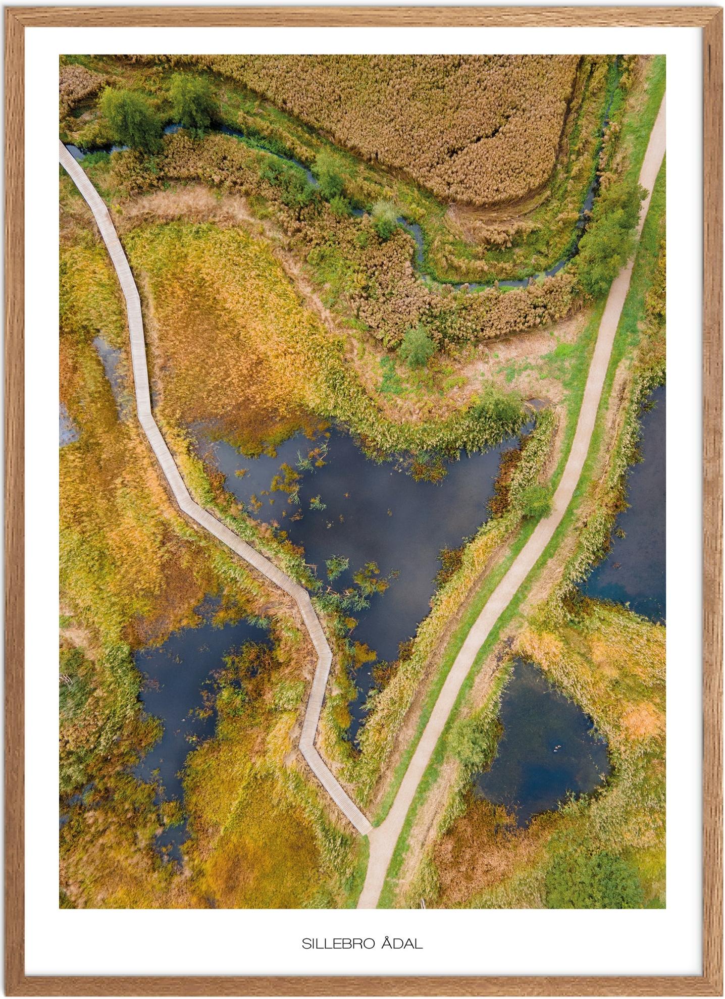 Plakat af Sillebro Ådal | Naturplakat fra Nordsjælland