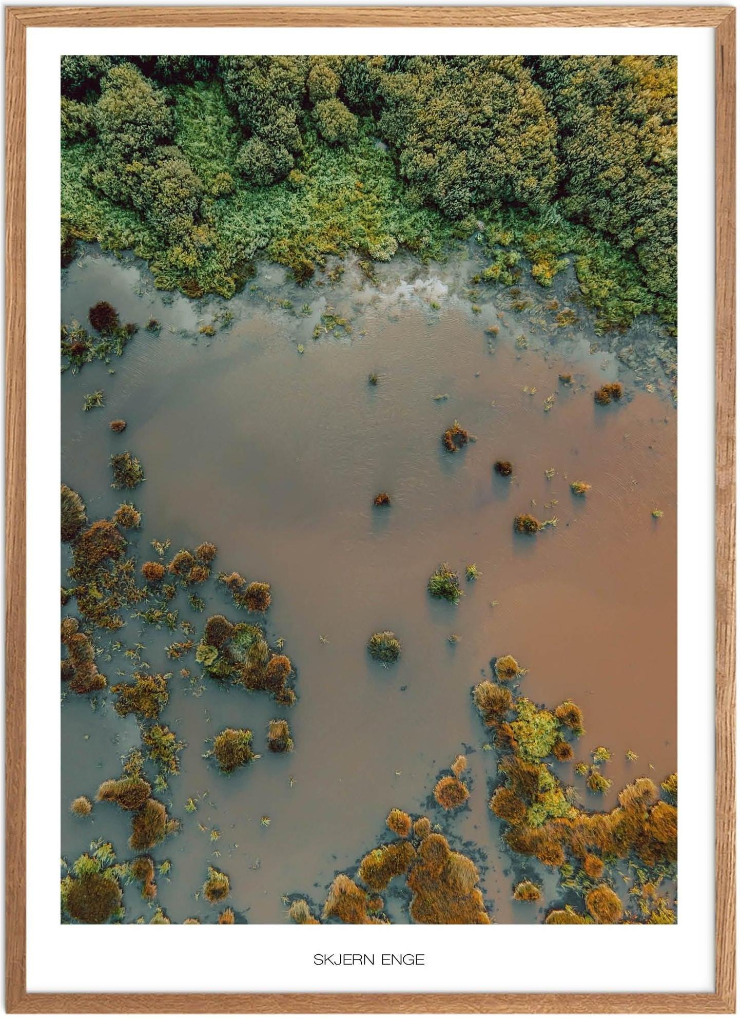 Skjern Enge Naturplakat | Smuk Plakat fra Vestjylland