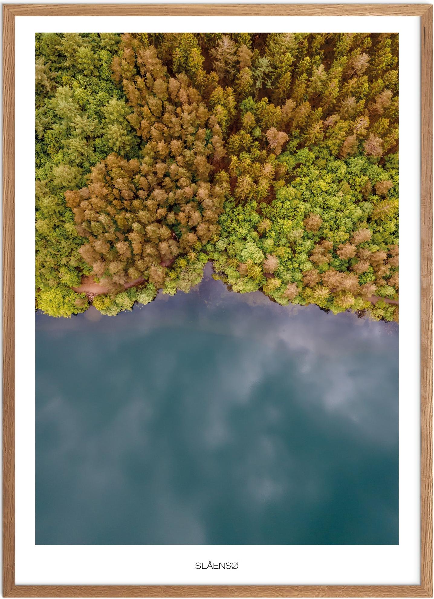 Plakat af Slåensø | Naturplakat fra Østjylland