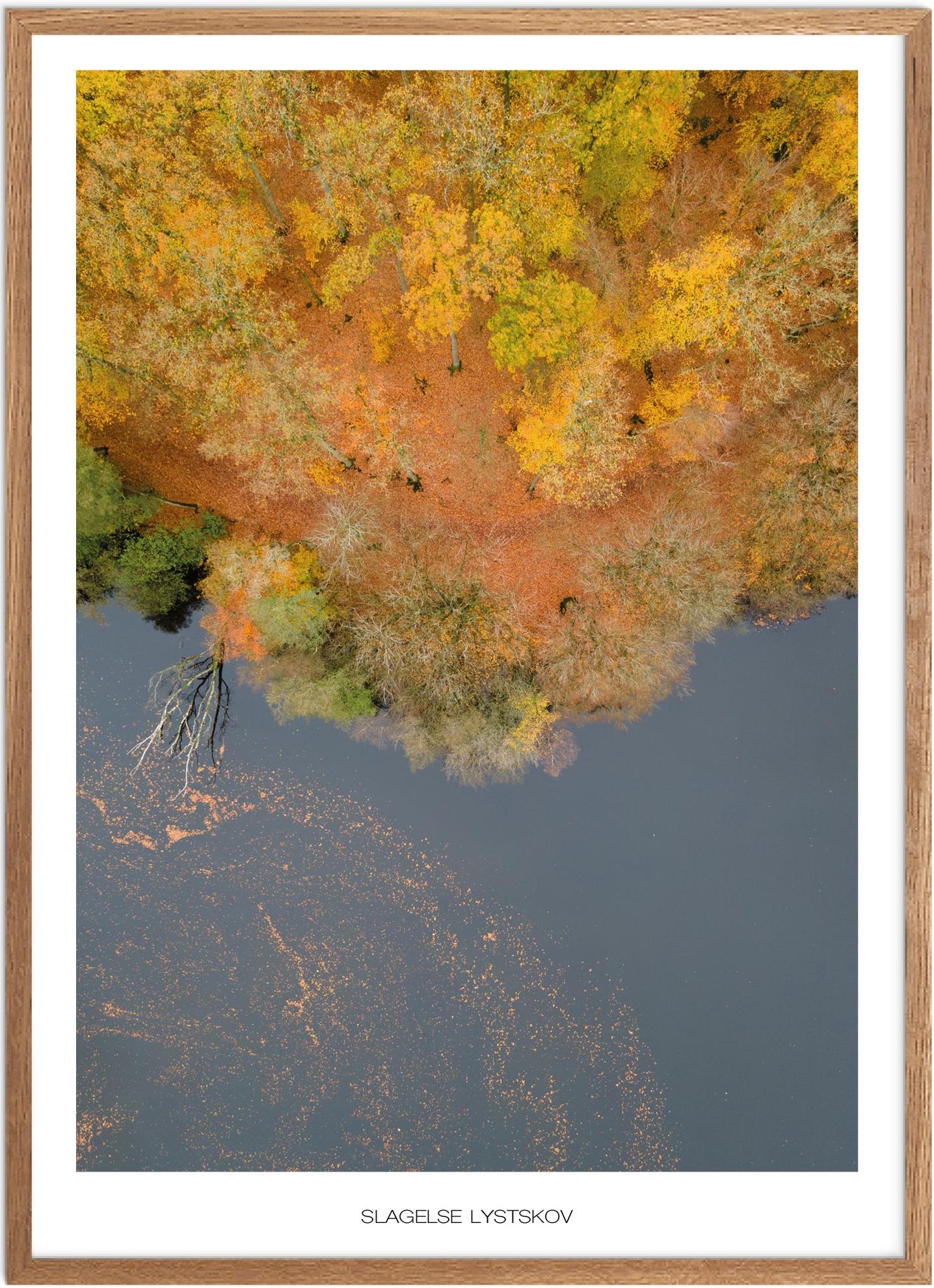 Plakat af Slagelse Lystskov | Naturplakat til hjemmet