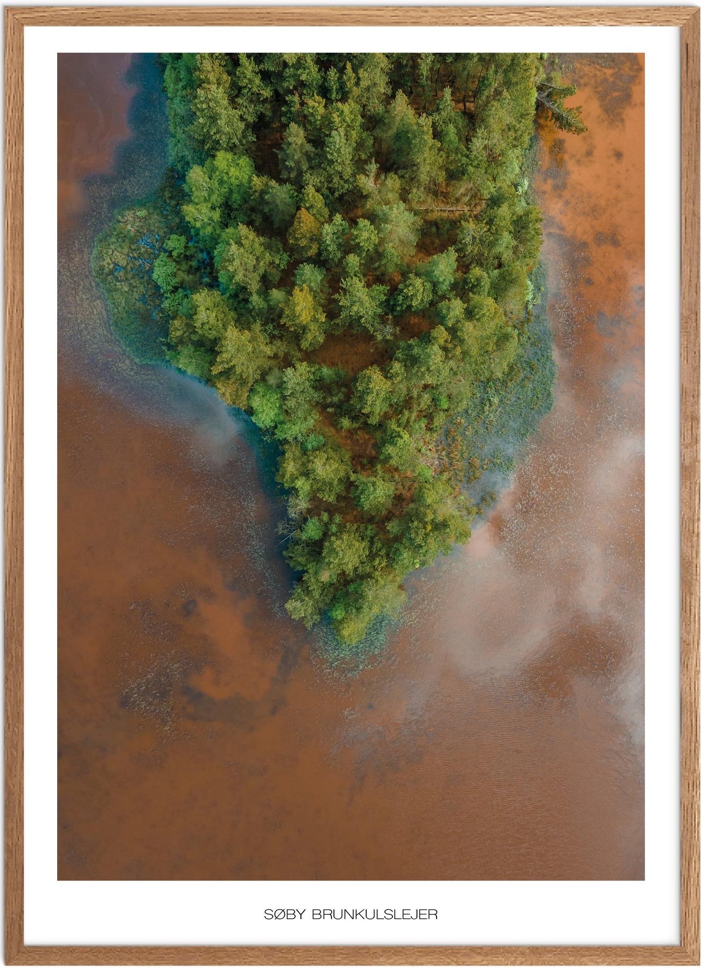 Plakat af Søby Brunkulslejer | Naturplakat til hjemmet