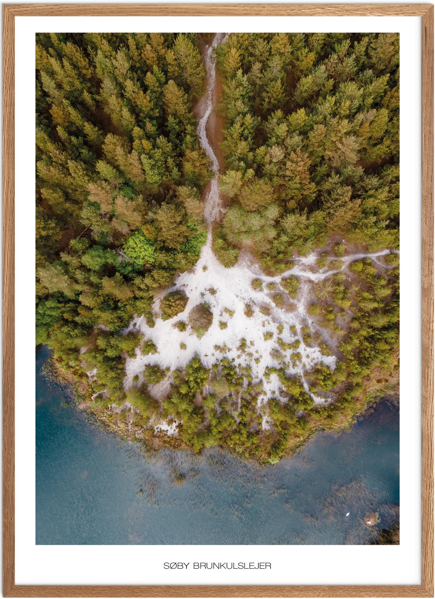 Plakat af Søby Brunkulslejer | Naturplakat fra Plakatsnedkeren