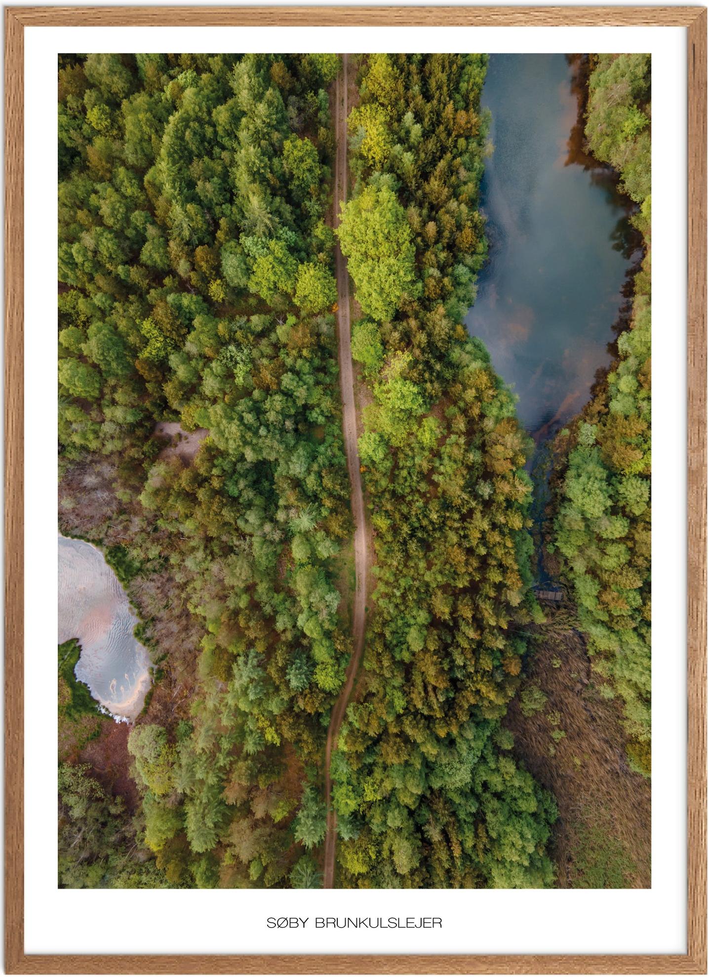 Plakat af Søby Brunkulslejer | Naturplakat til hjemmet