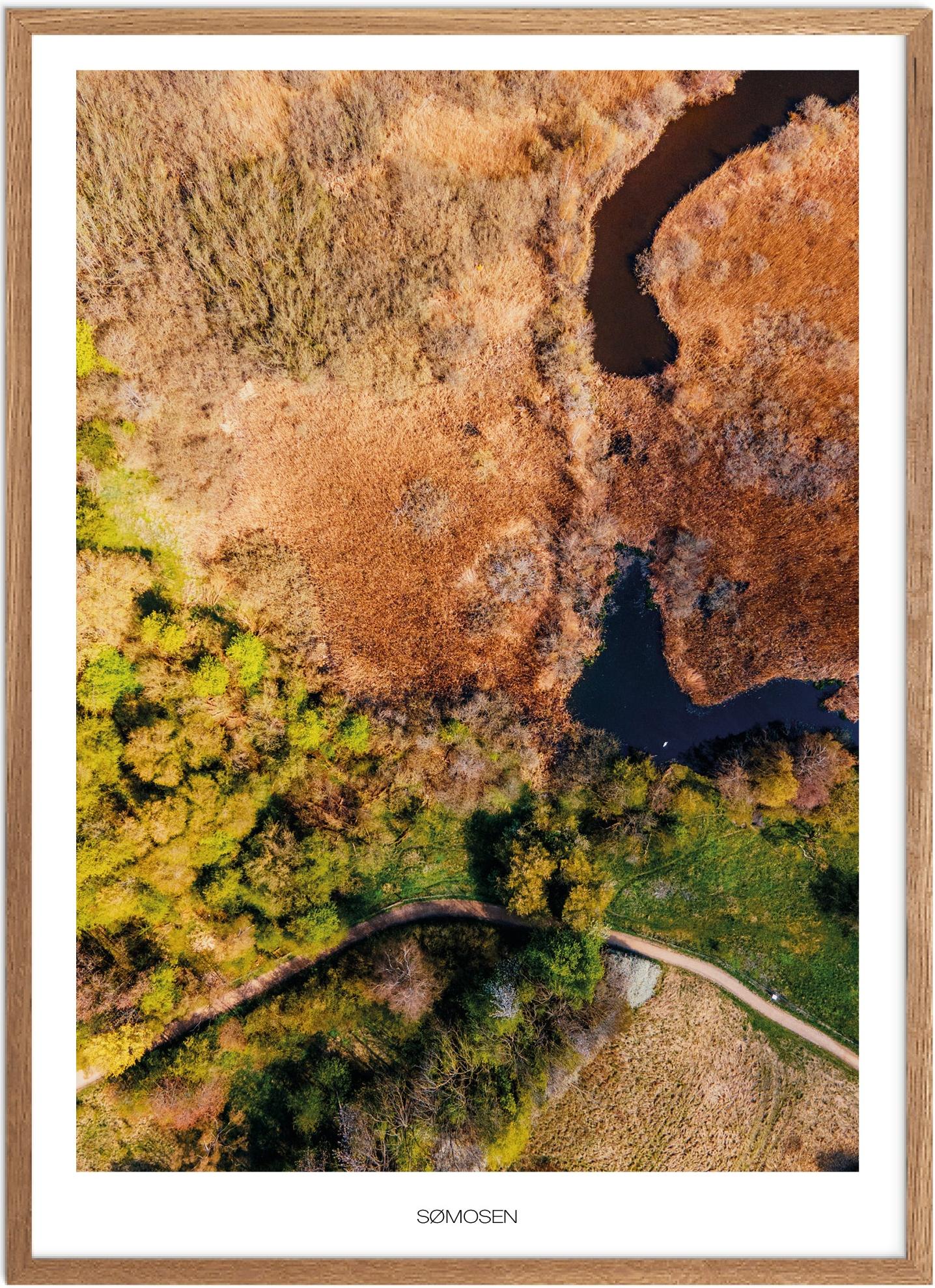 Plakat af Sømosen | Naturplakat fra Plakatsnedkeren