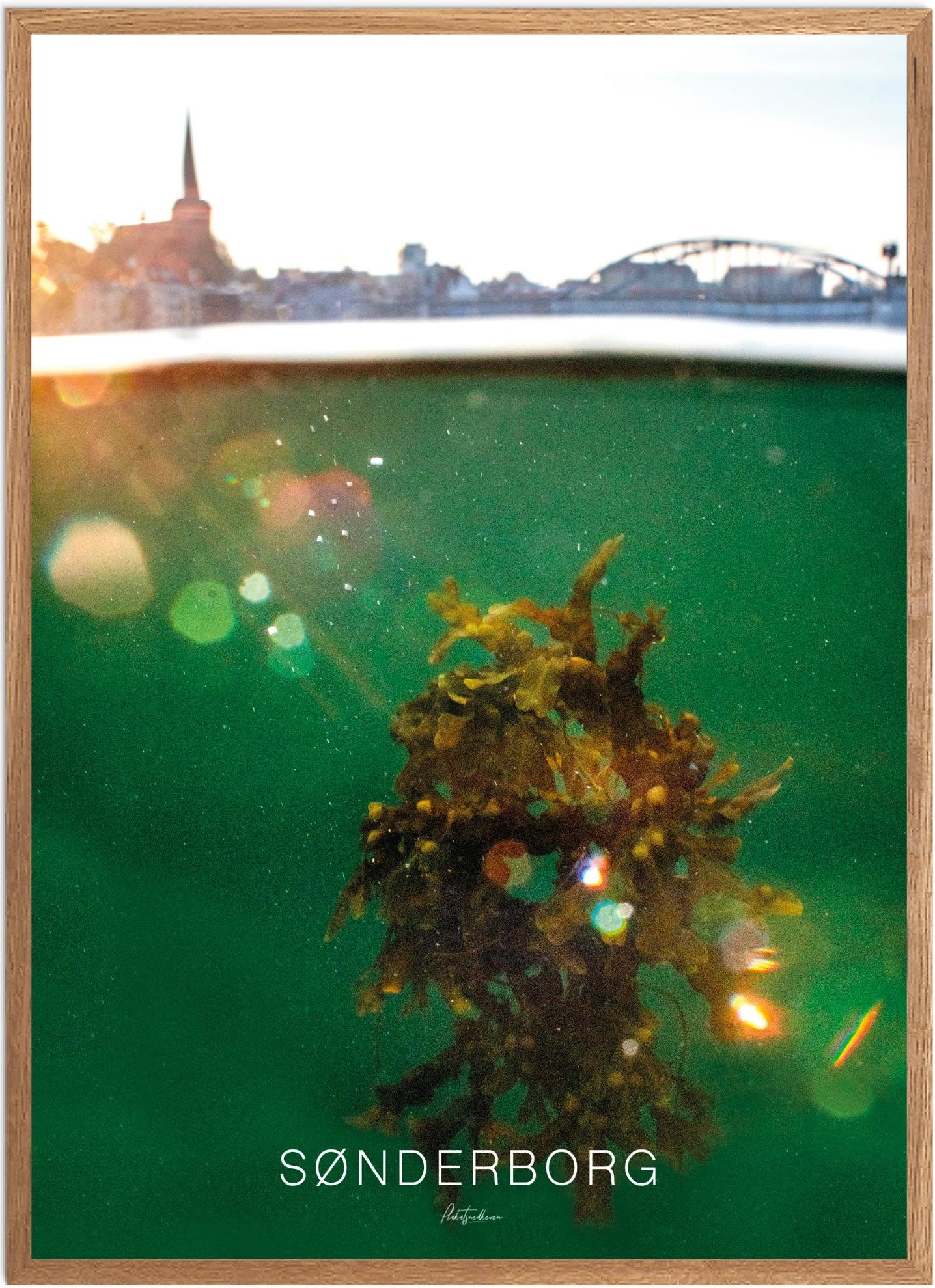 Plakat af Sønderborg - Naturplakat med smuk udsigt