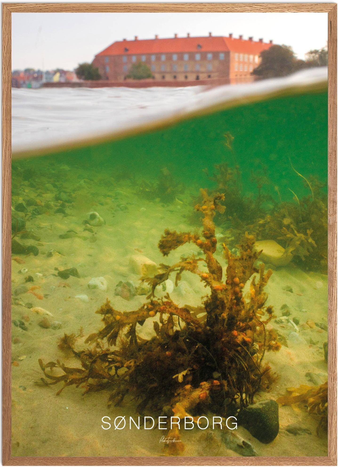 Plakat af Sønderborg - Smuk Naturplakat til dit hjem