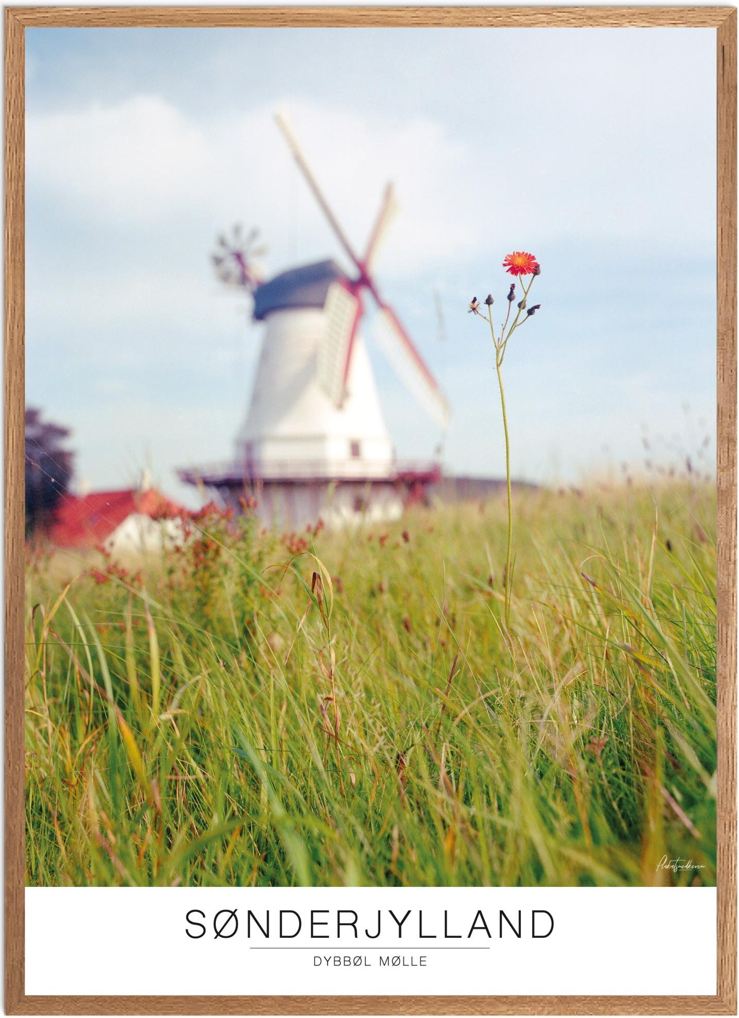 Plakat af Dybbøl Mølle | Dansk naturplakat til hjemmet