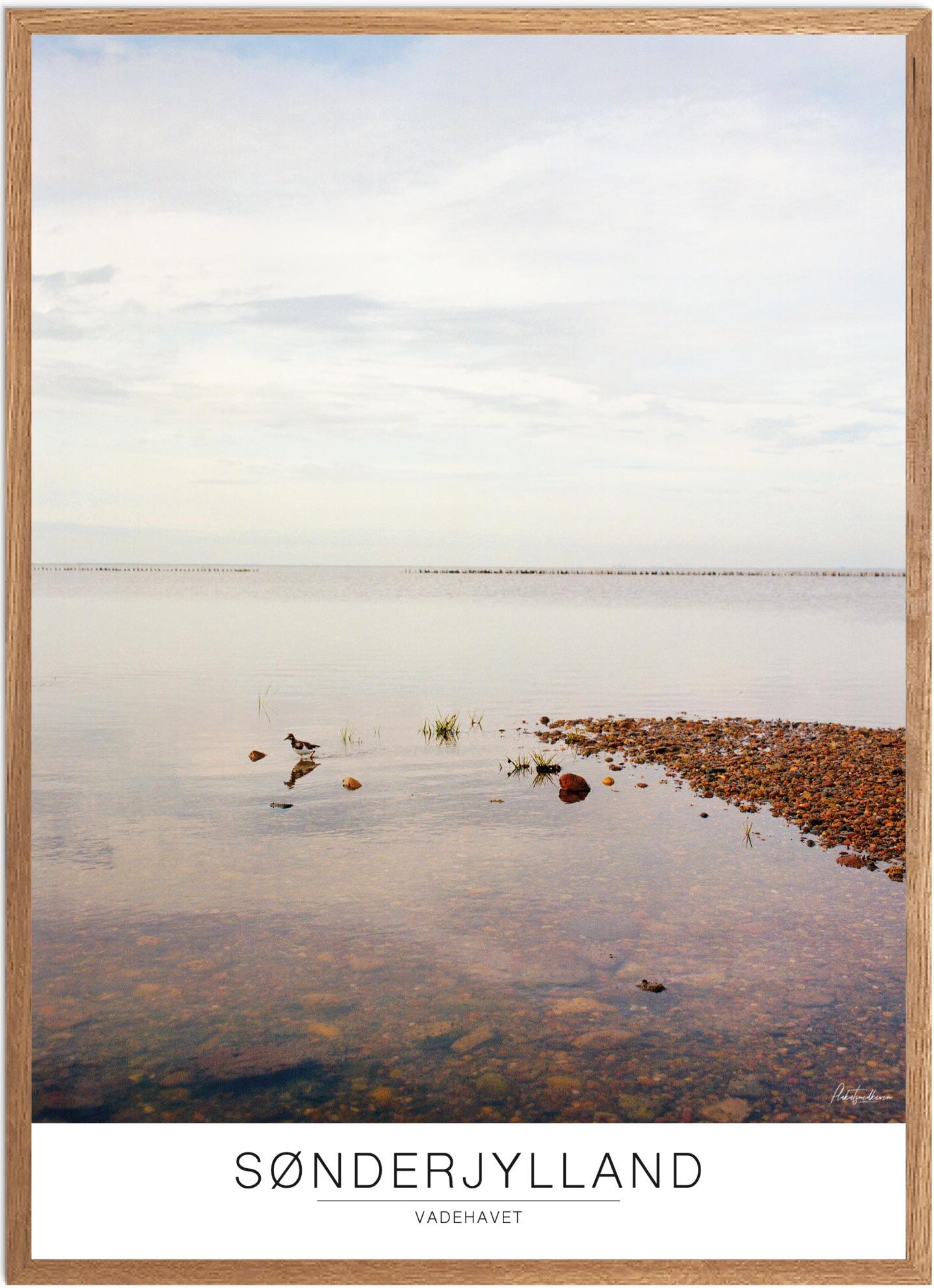 Plakat af Nationalpark Vadehavet - Naturplakat til hjemmet