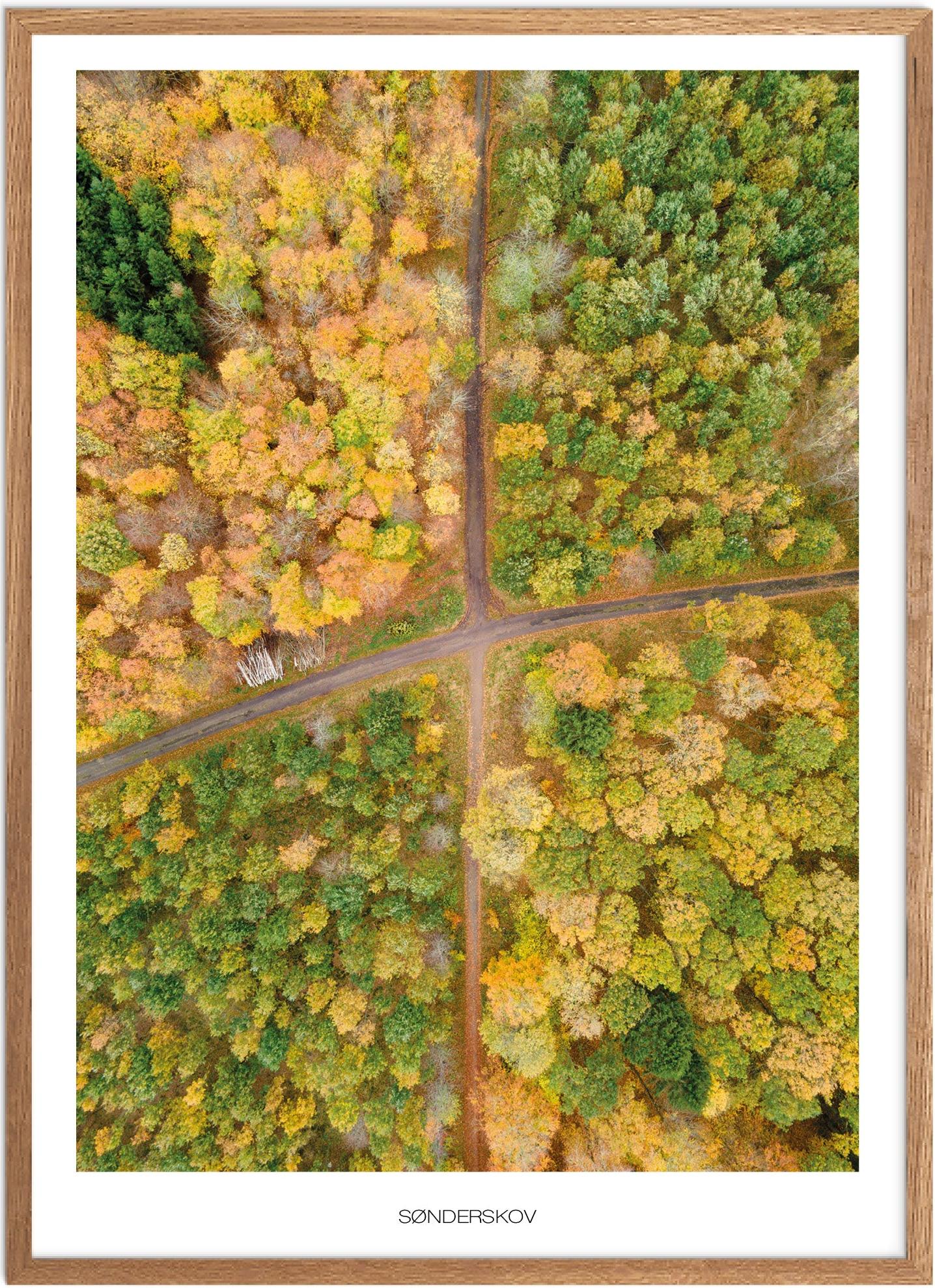 Plakat af Sorø Sønderskov | Naturplakat fra Plakatsnedkeren