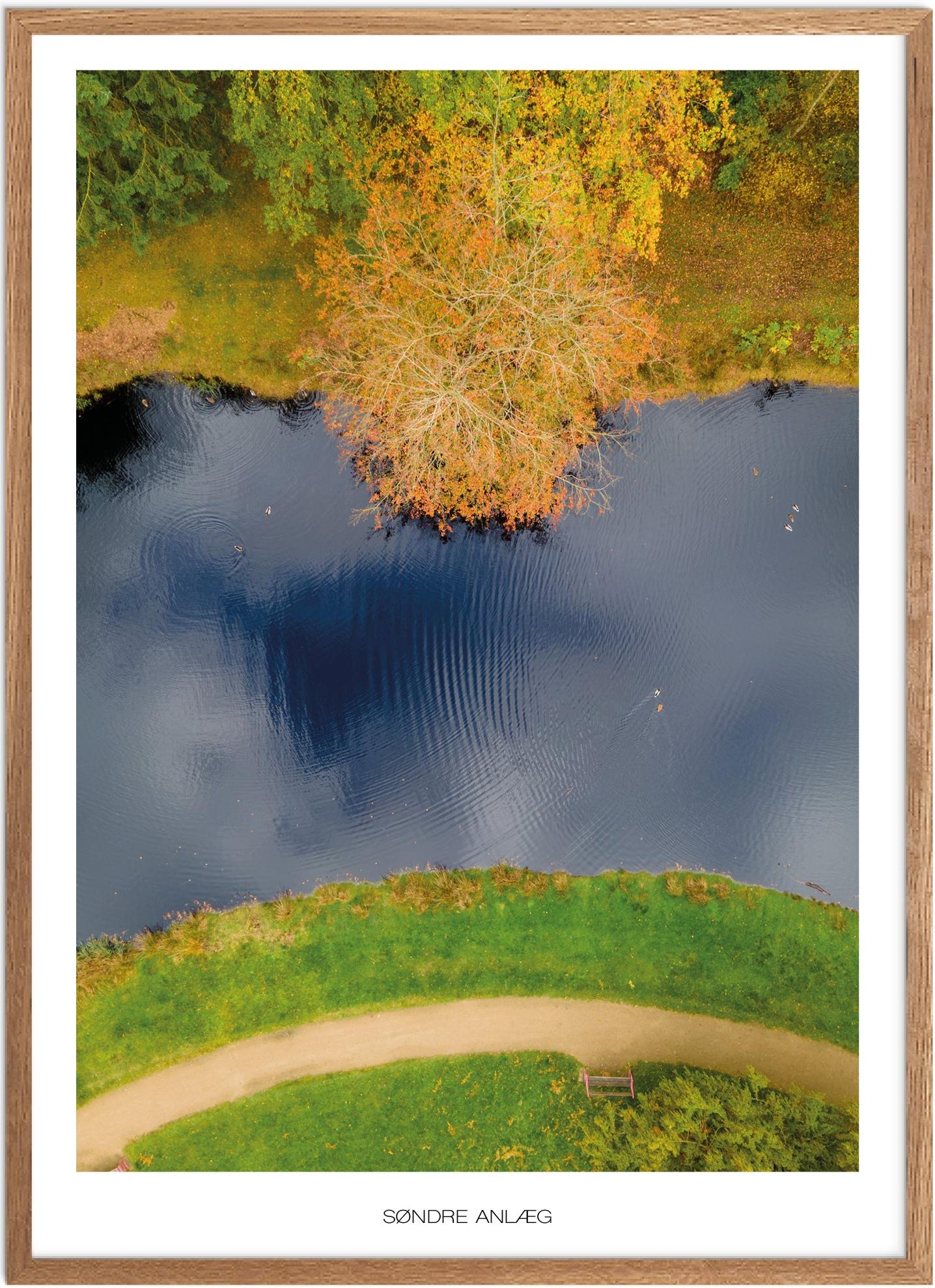 Søndre Anlæg Naturplakat | Plakater fra Vestjylland