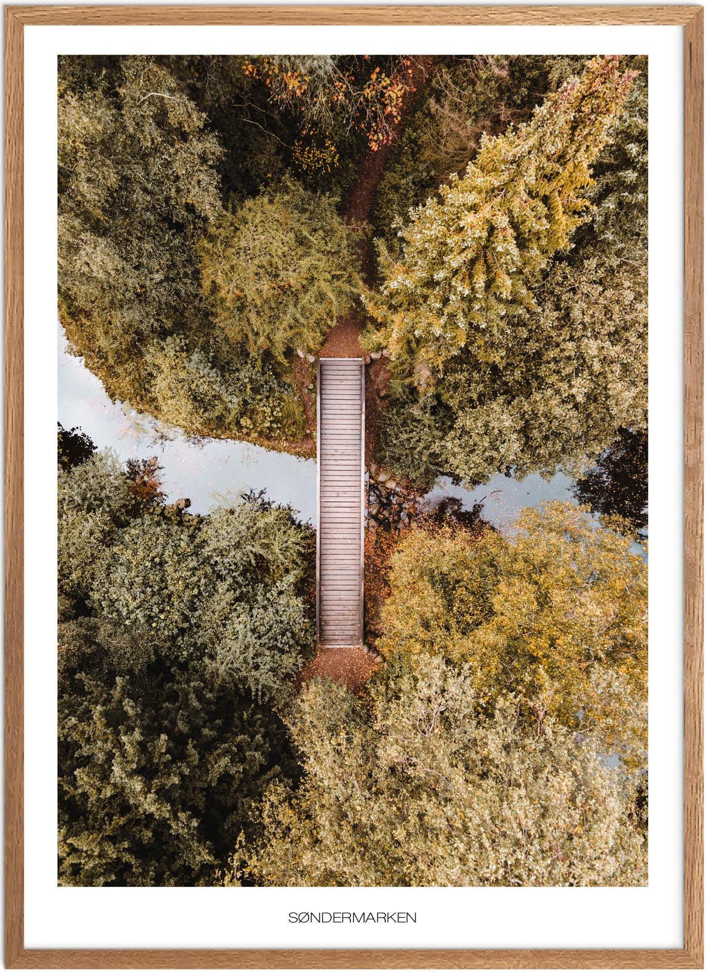 Søndermarken Plakat | Naturplakat fra København