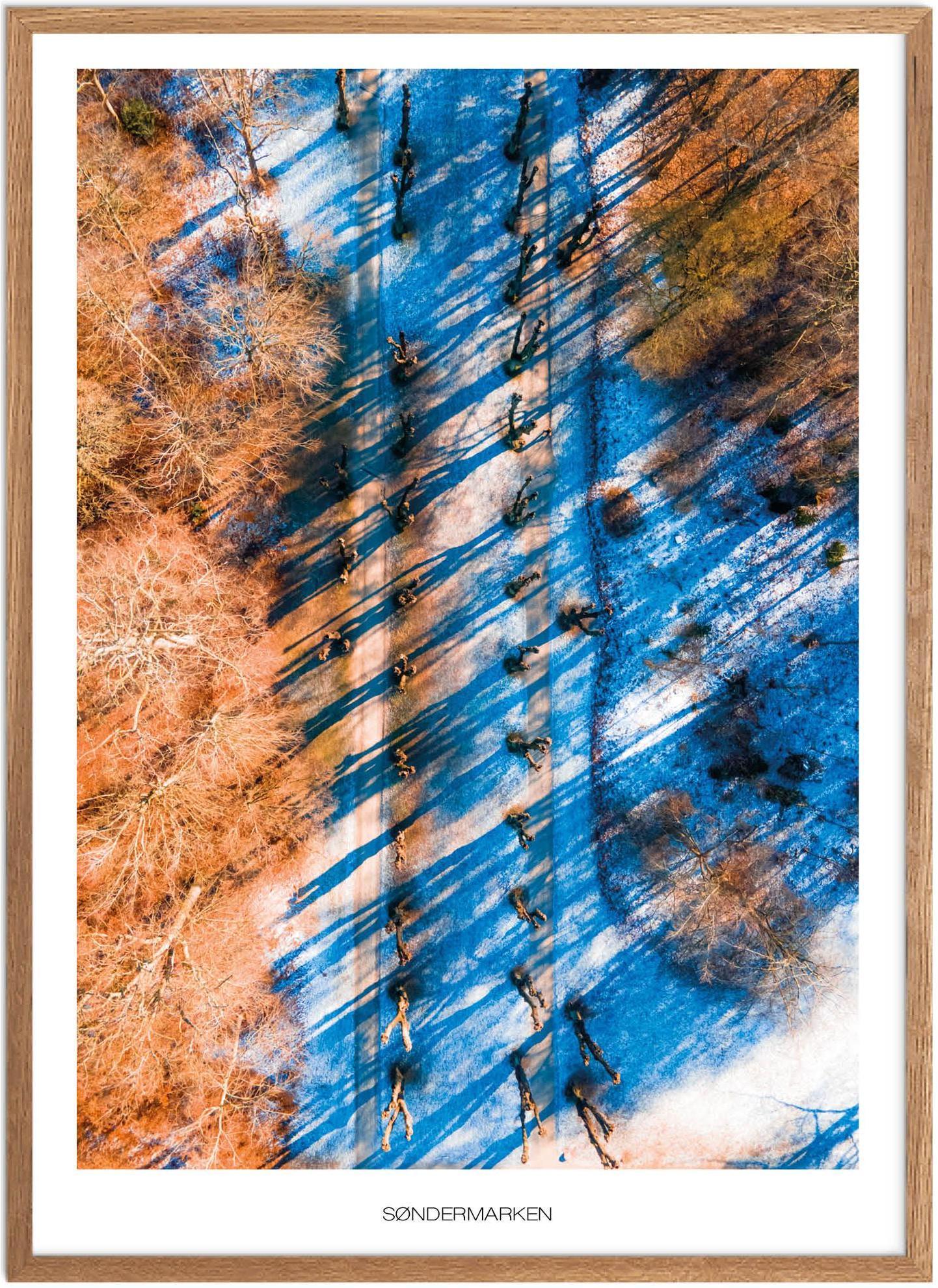 Søndermarken Plakat | Naturplakat fra København | Plakatsnedkeren