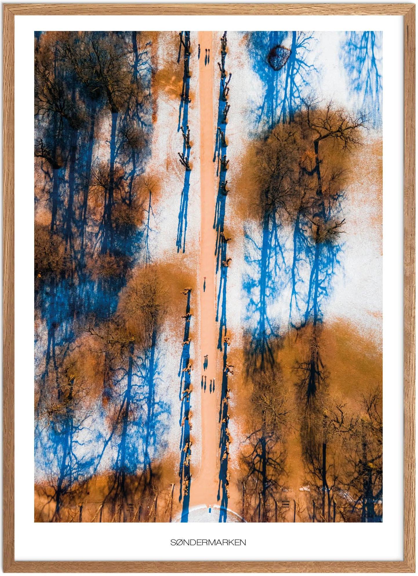 Søndermarken Plakat - Naturmotiv fra København