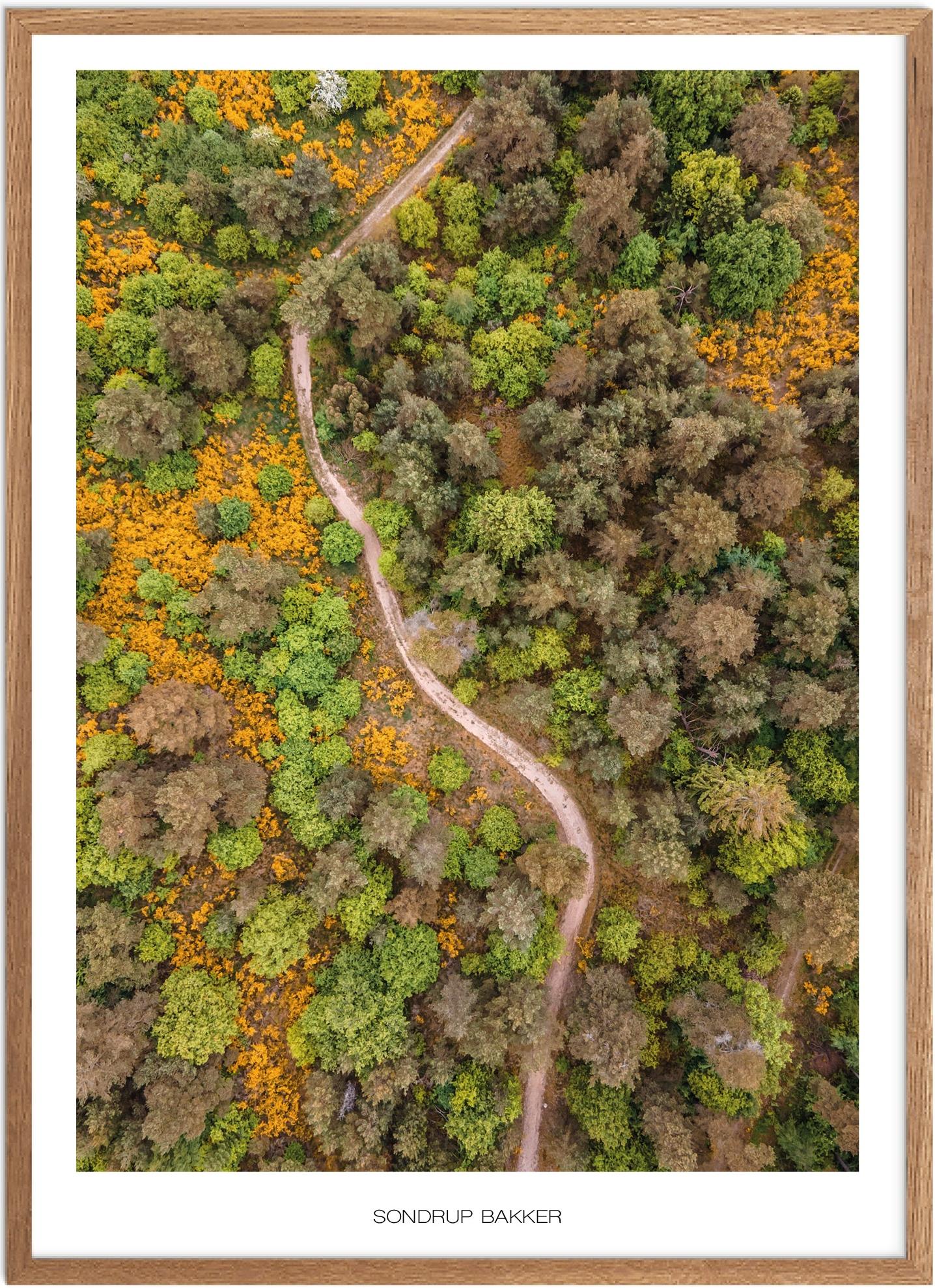 Sondrup Bakker Naturplakat - Smuk Plakat fra Østjylland