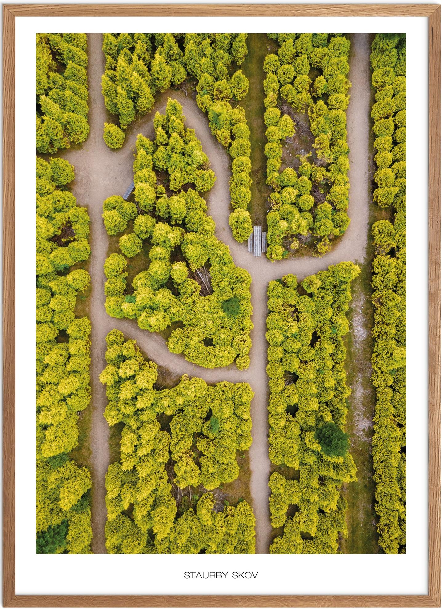 Staurby Skov Plakat - Smuk Naturplakat fra Fyn