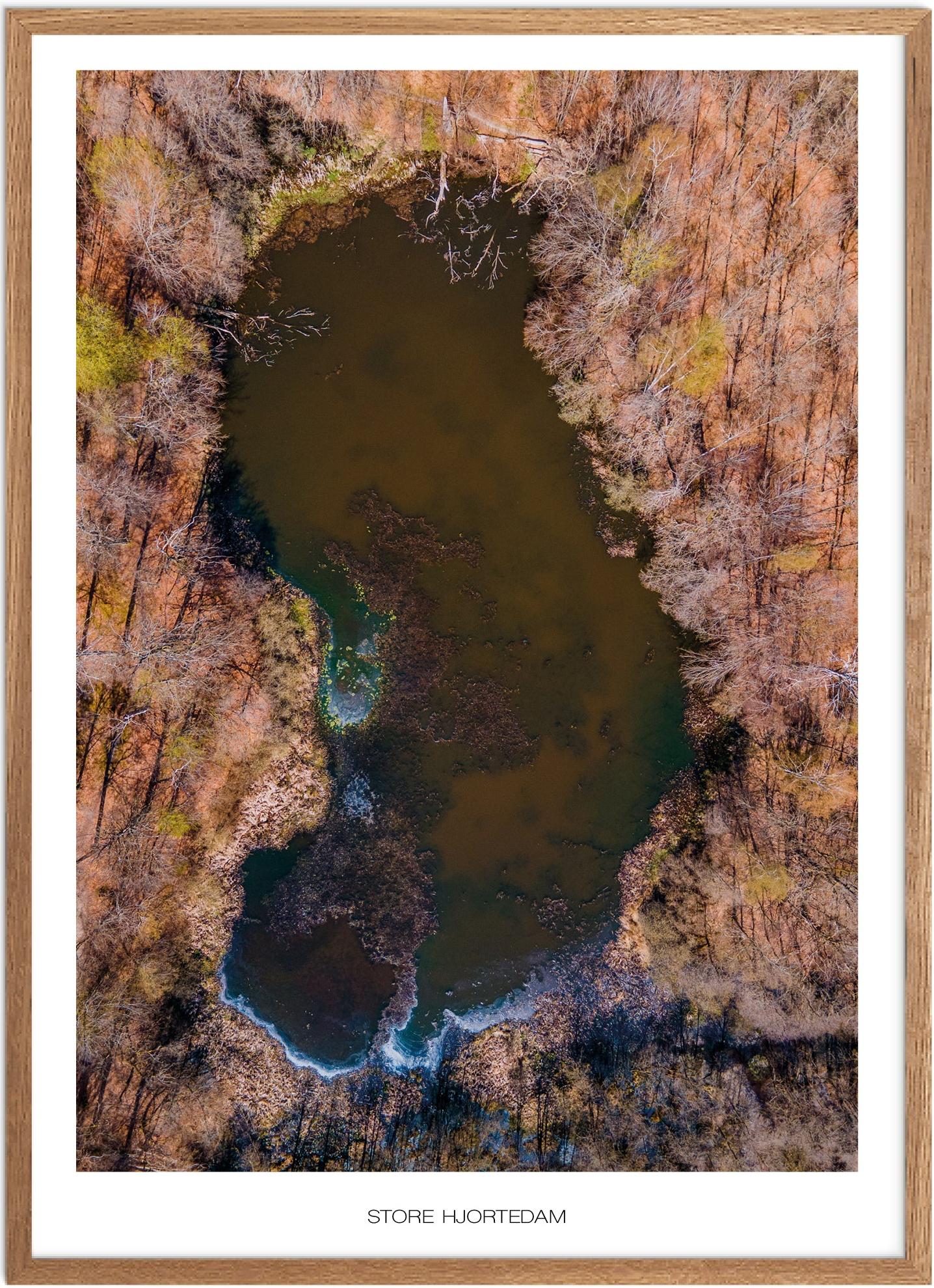 Plakat af Store Hjortedam | Naturmotiv fra Nordsjælland