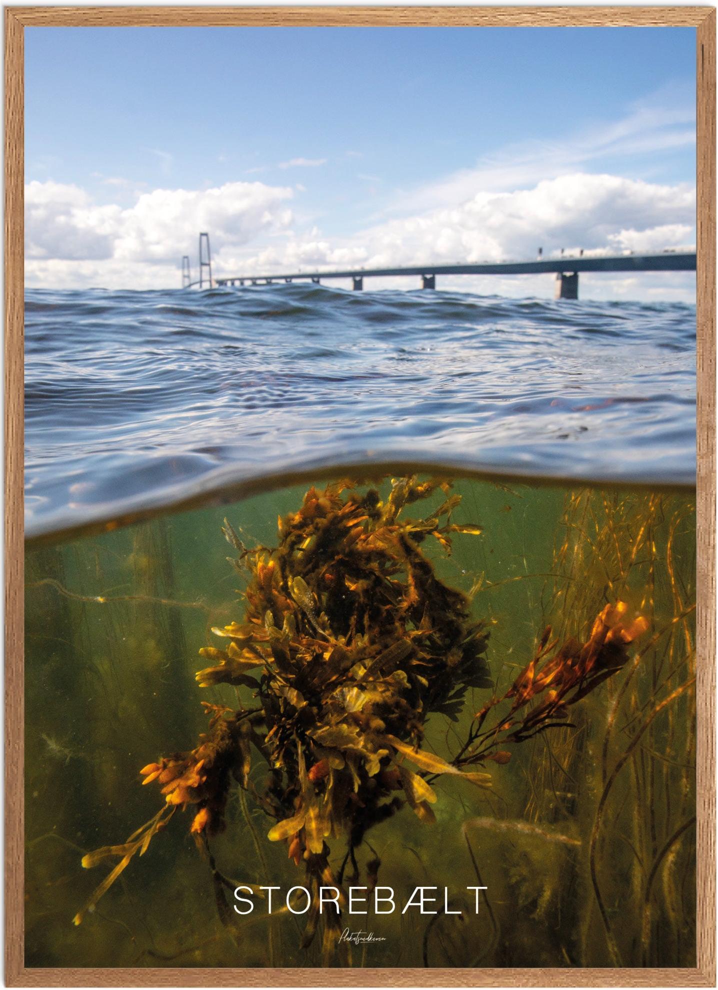 Plakat af Storebælt | Naturplakat til hjemmet