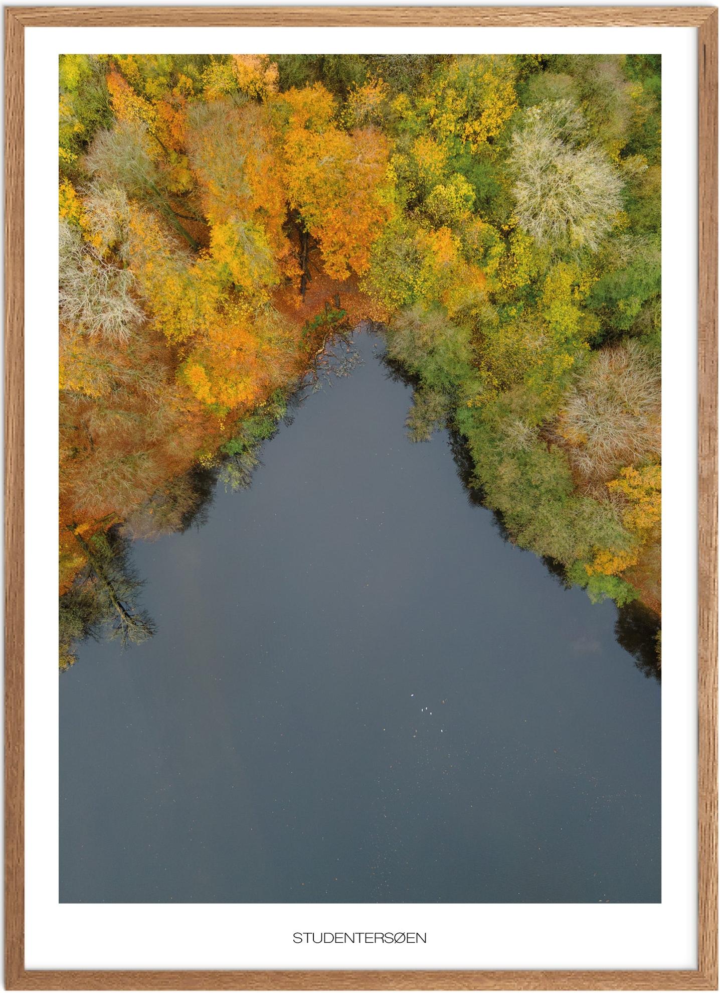 Plakat af Studentersøen | Naturplakat fra Vestsjælland