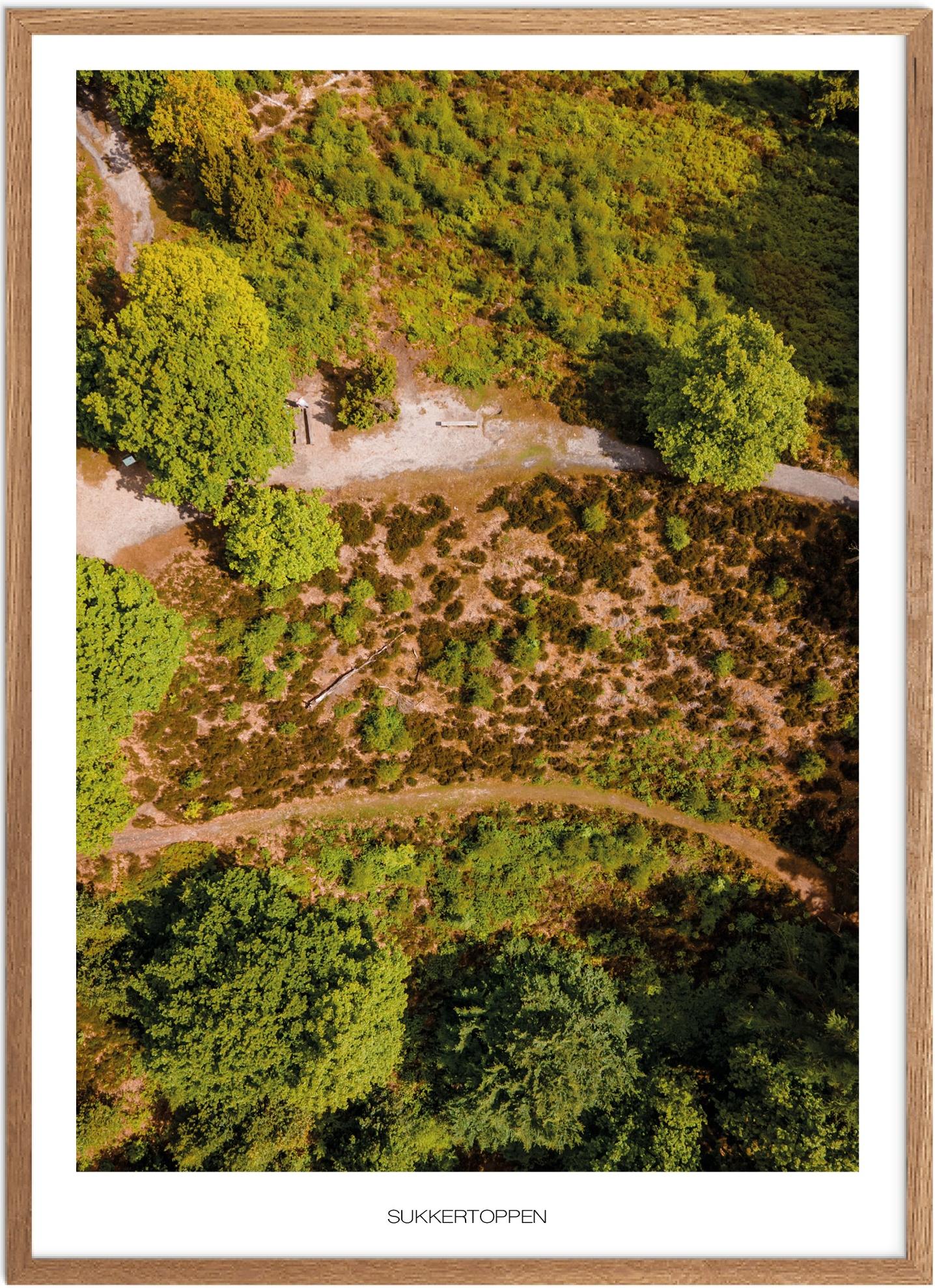 Plakat af Sukkertoppen - Naturplakat fra Østjylland