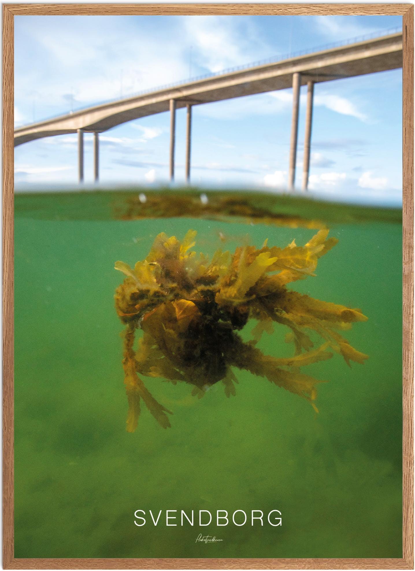 Plakat Svendborg | Naturskøn plakat til hjemmet