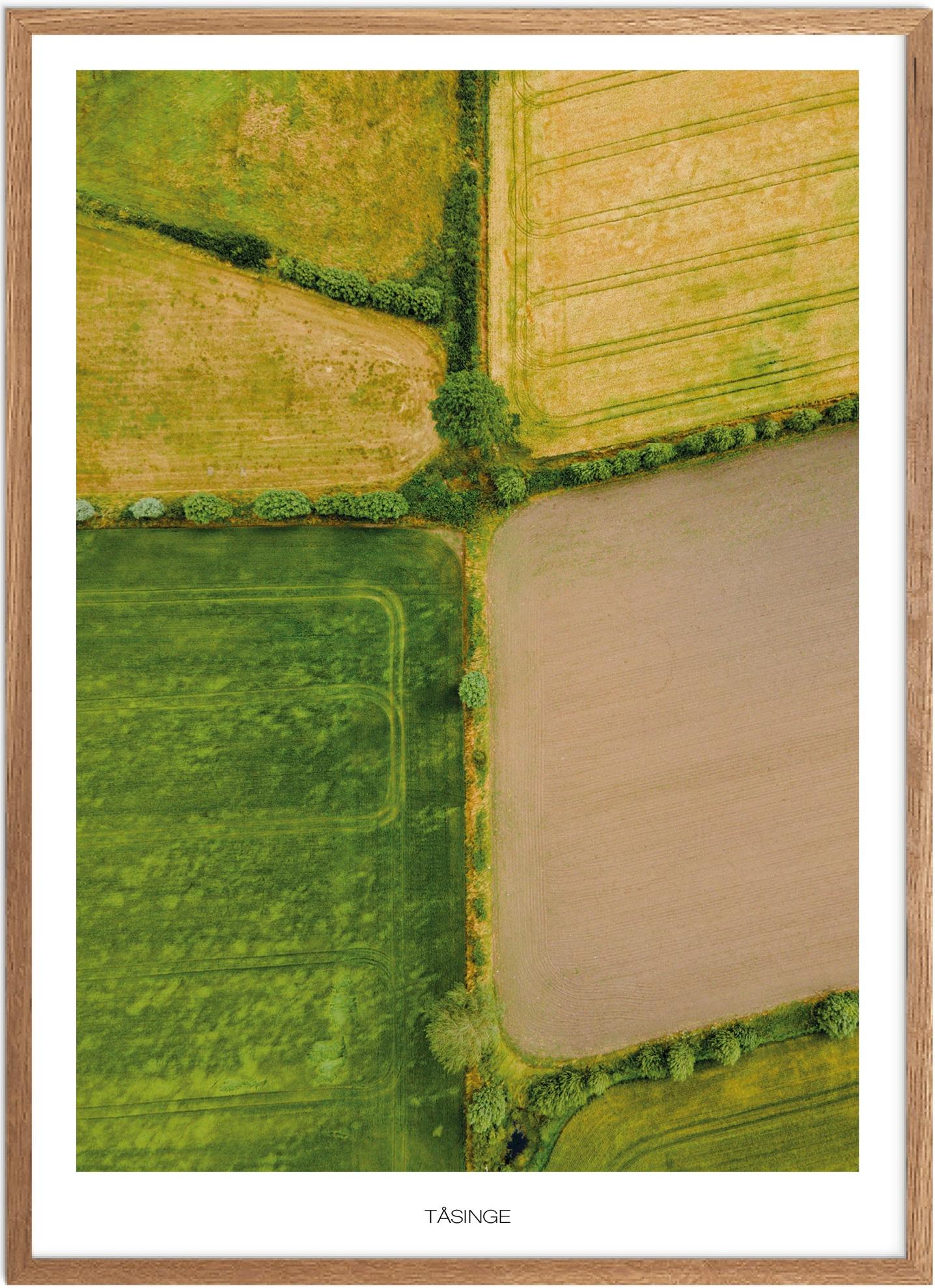 Plakat af Tåsinge | Naturplakat fra Plakatsnedkeren