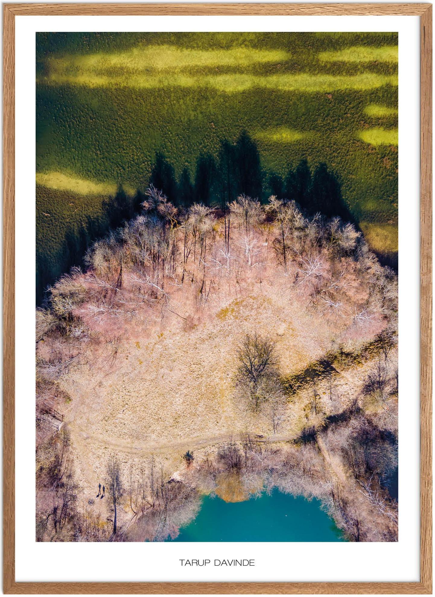 Plakat af Tarup Davinde | Naturplakat fra Fyn