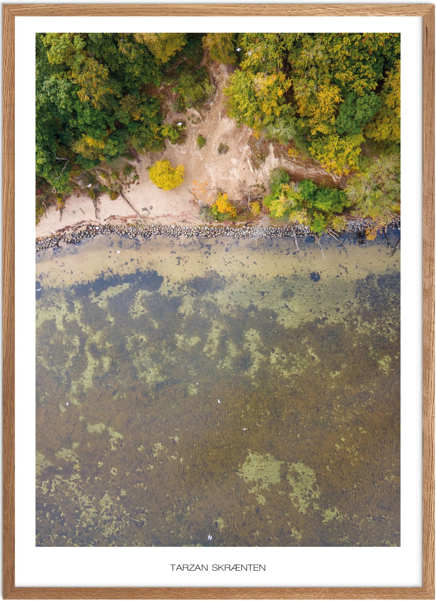 Tarzan Skrænten Naturplakat | Plakater fra Nordsjælland