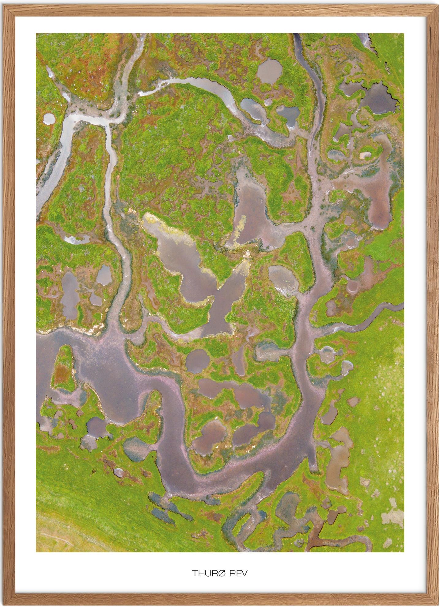 Thurø Rev Plakat | Naturplakat fra Fyn | Plakatsnedkeren