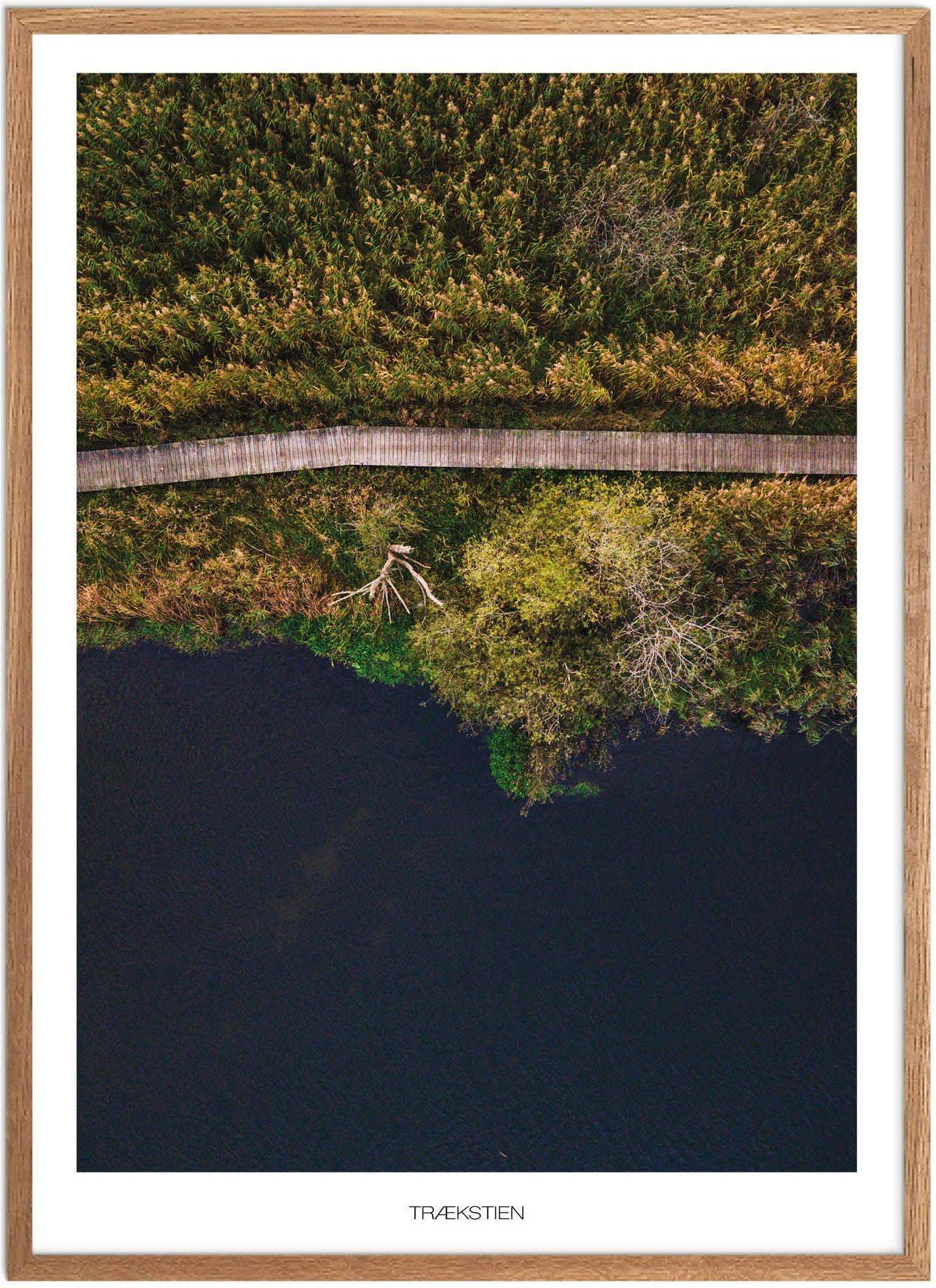 Plakat af Trækstien | Naturplakat fra Østjylland