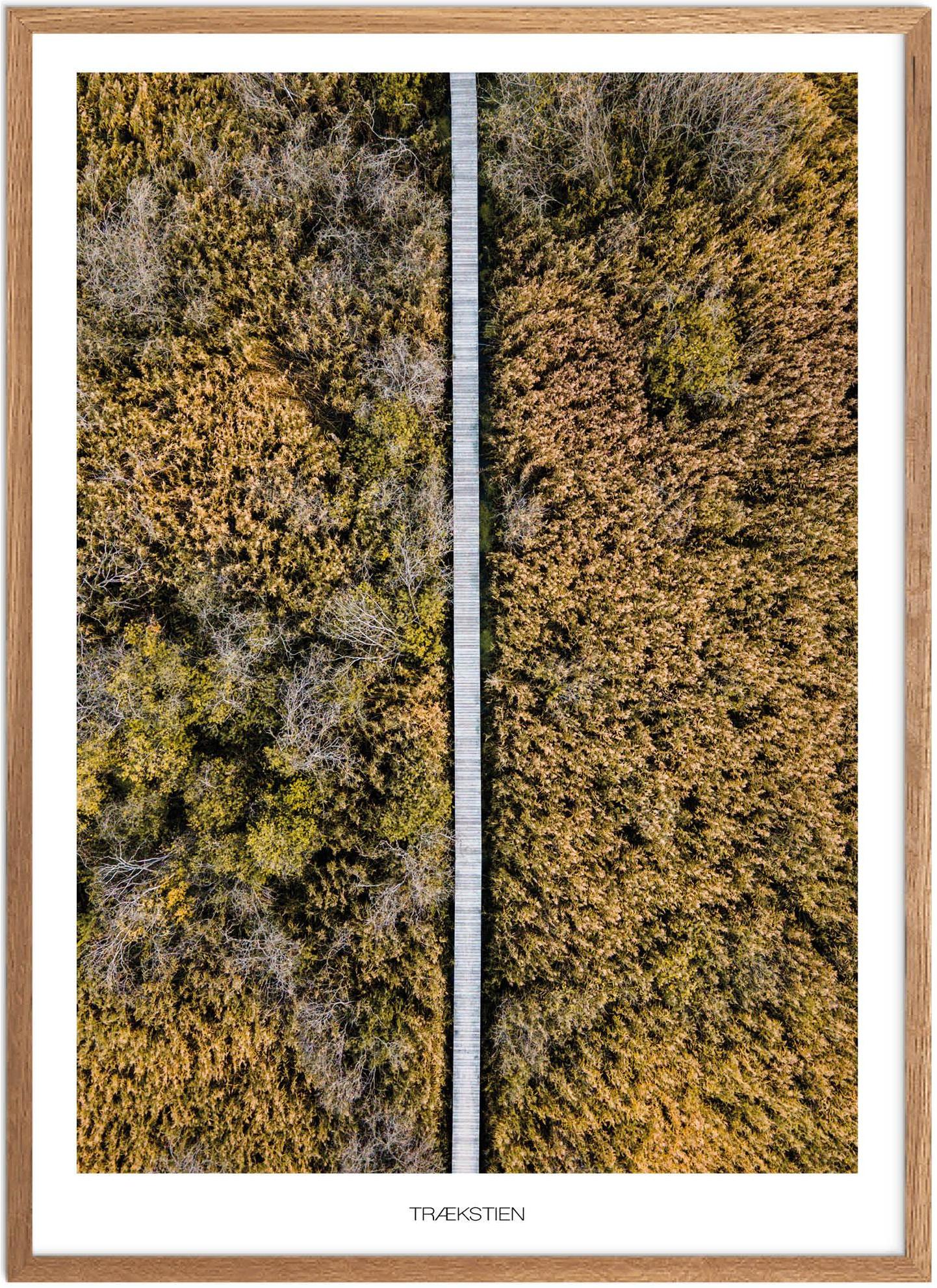 Trækstien Plakat | Naturplakat fra Østjylland | Plakatsnedkeren